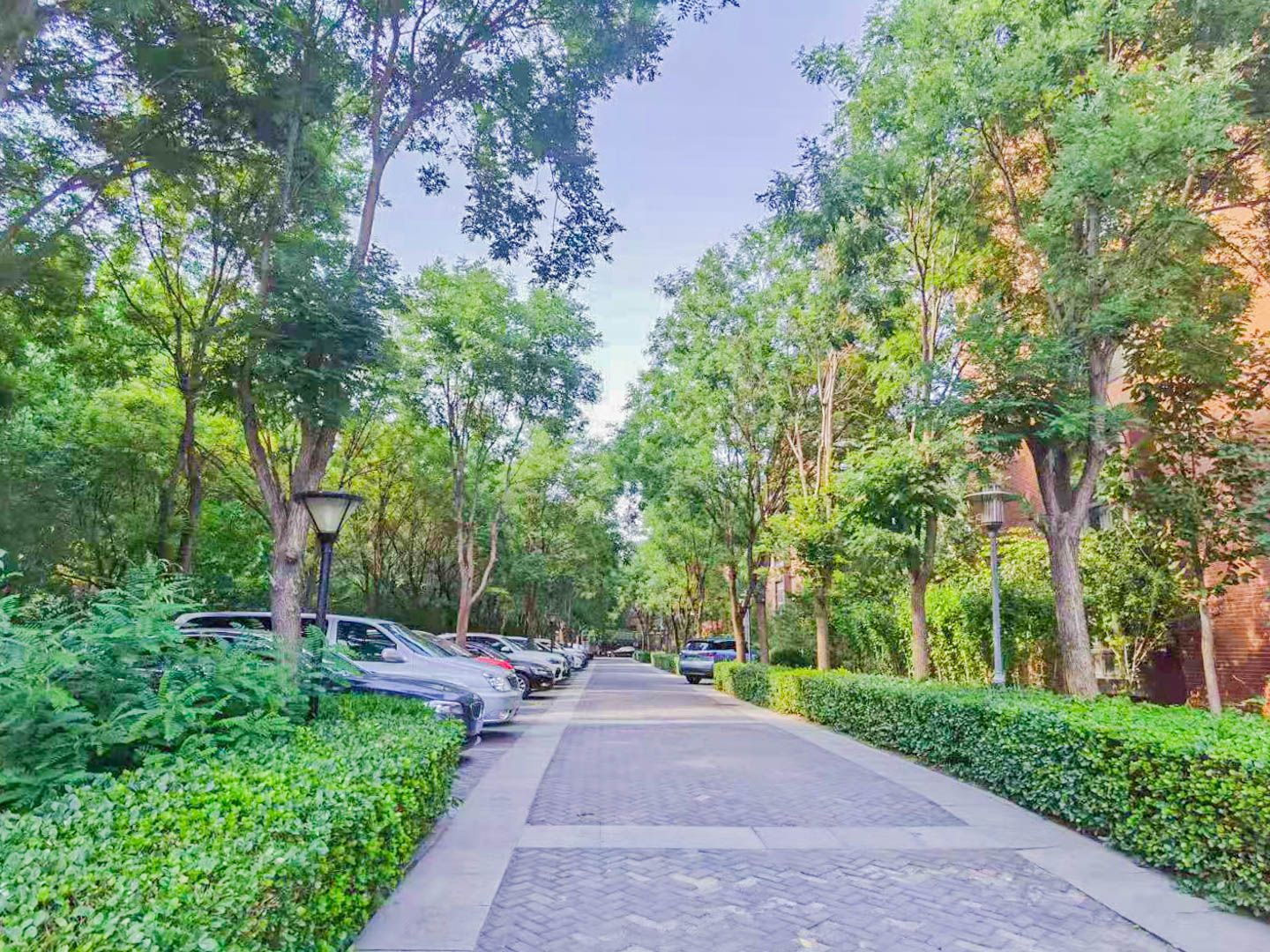 燕西台 environment