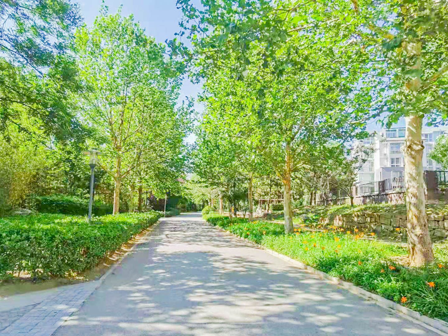 燕西台 environment