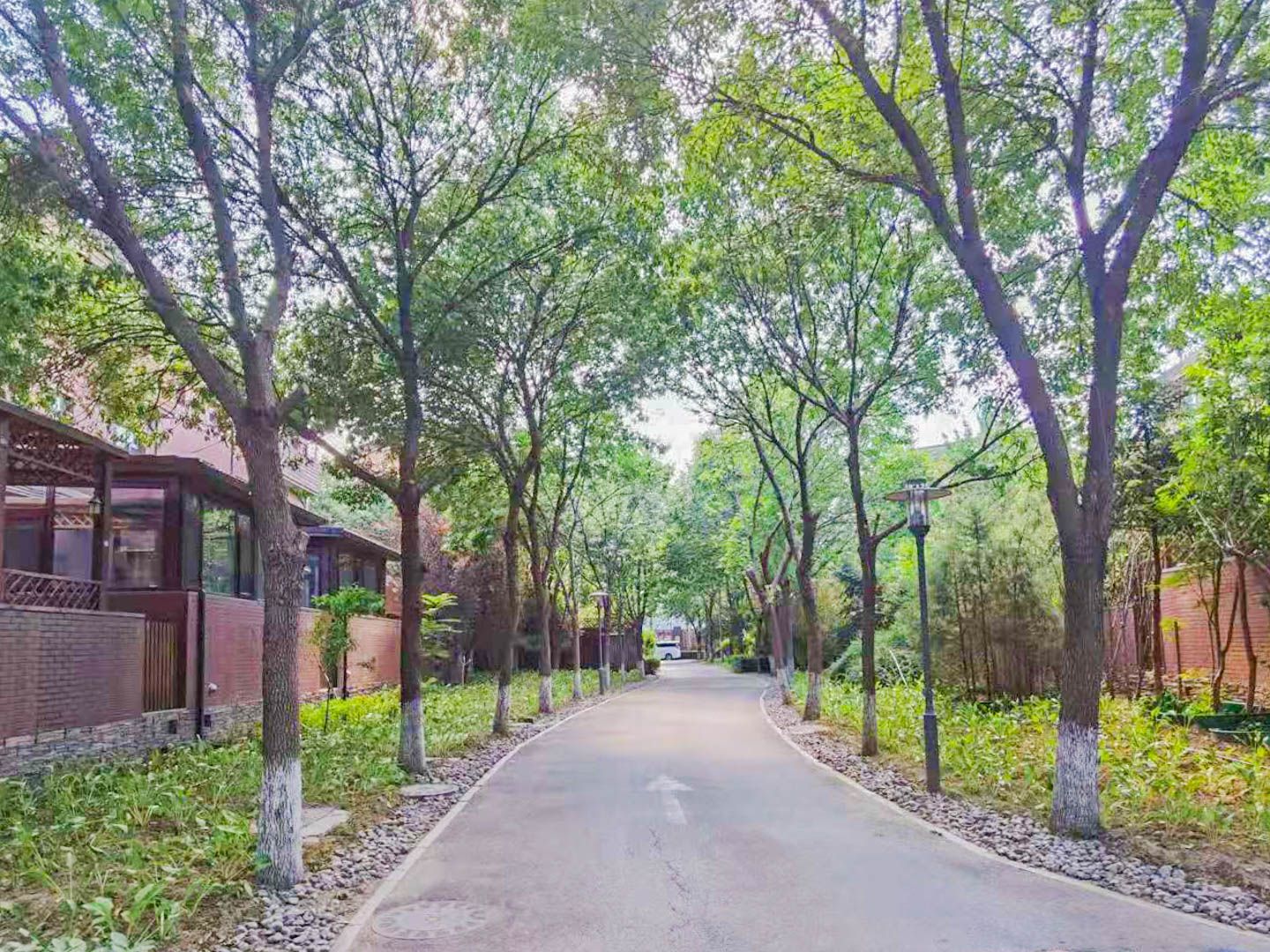 燕西台 environment