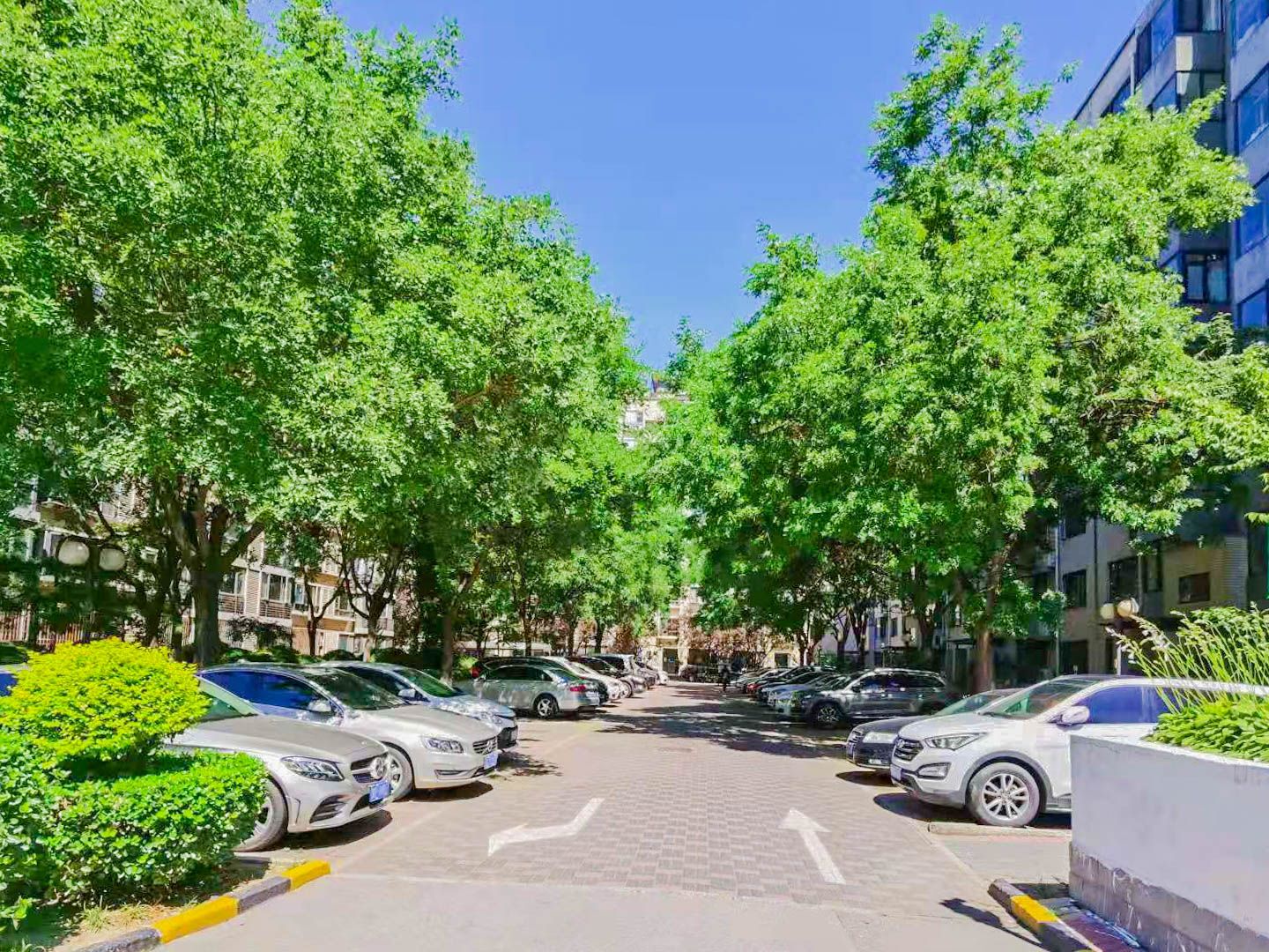 颐慧佳园A区 environment