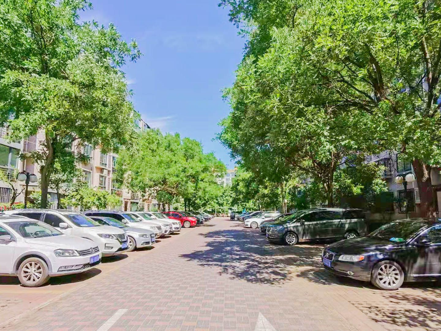 颐慧佳园A区 environment