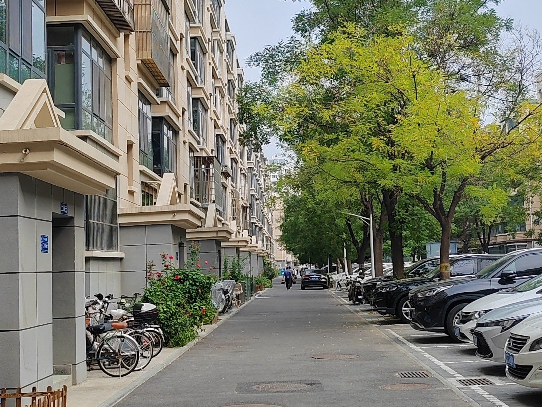 怡乐北街 environment