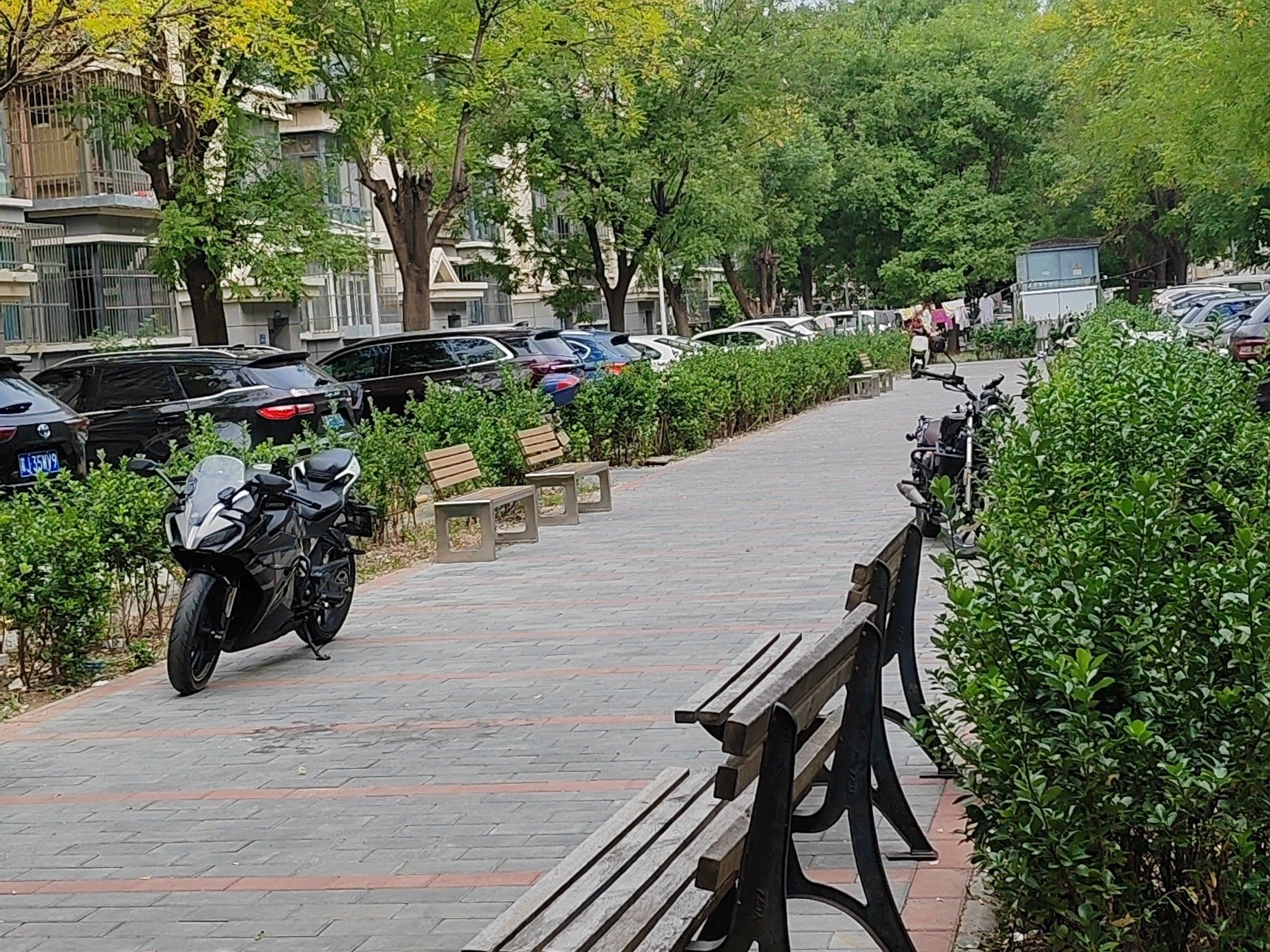 怡乐北街 environment