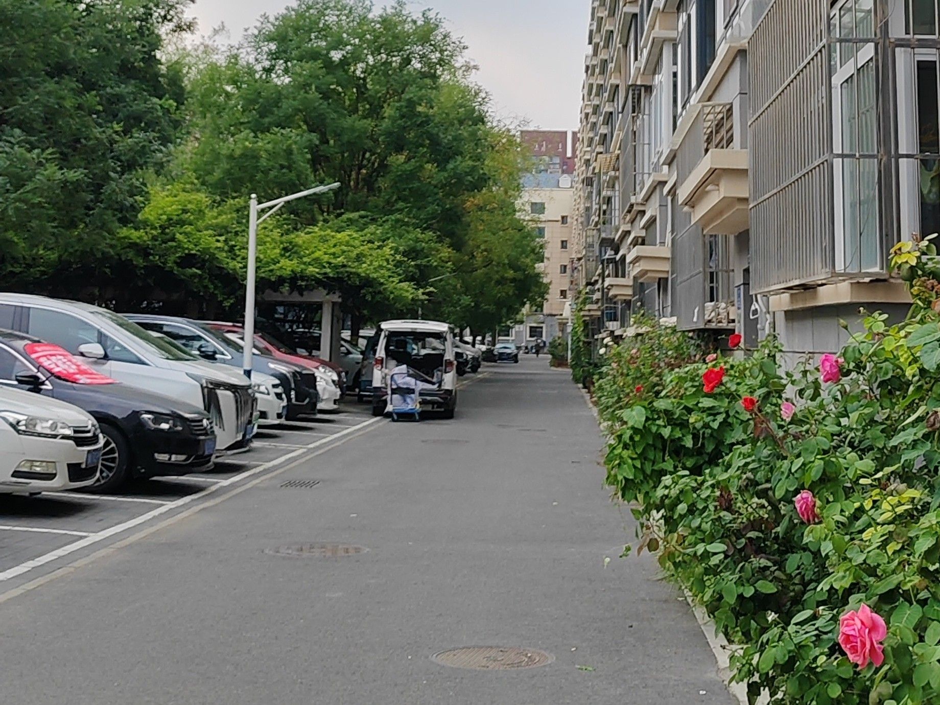 怡乐北街 environment