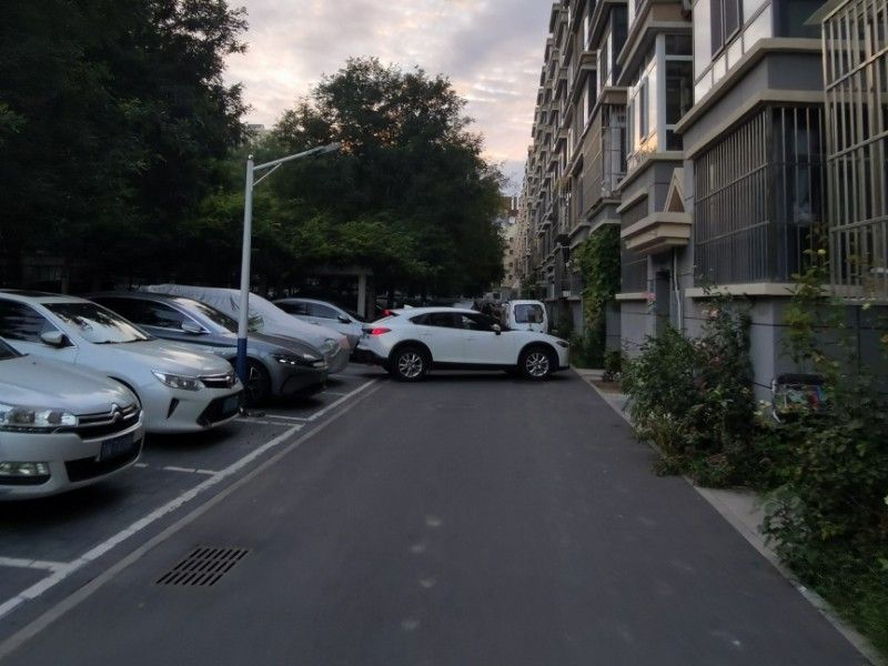 怡乐北街 environment