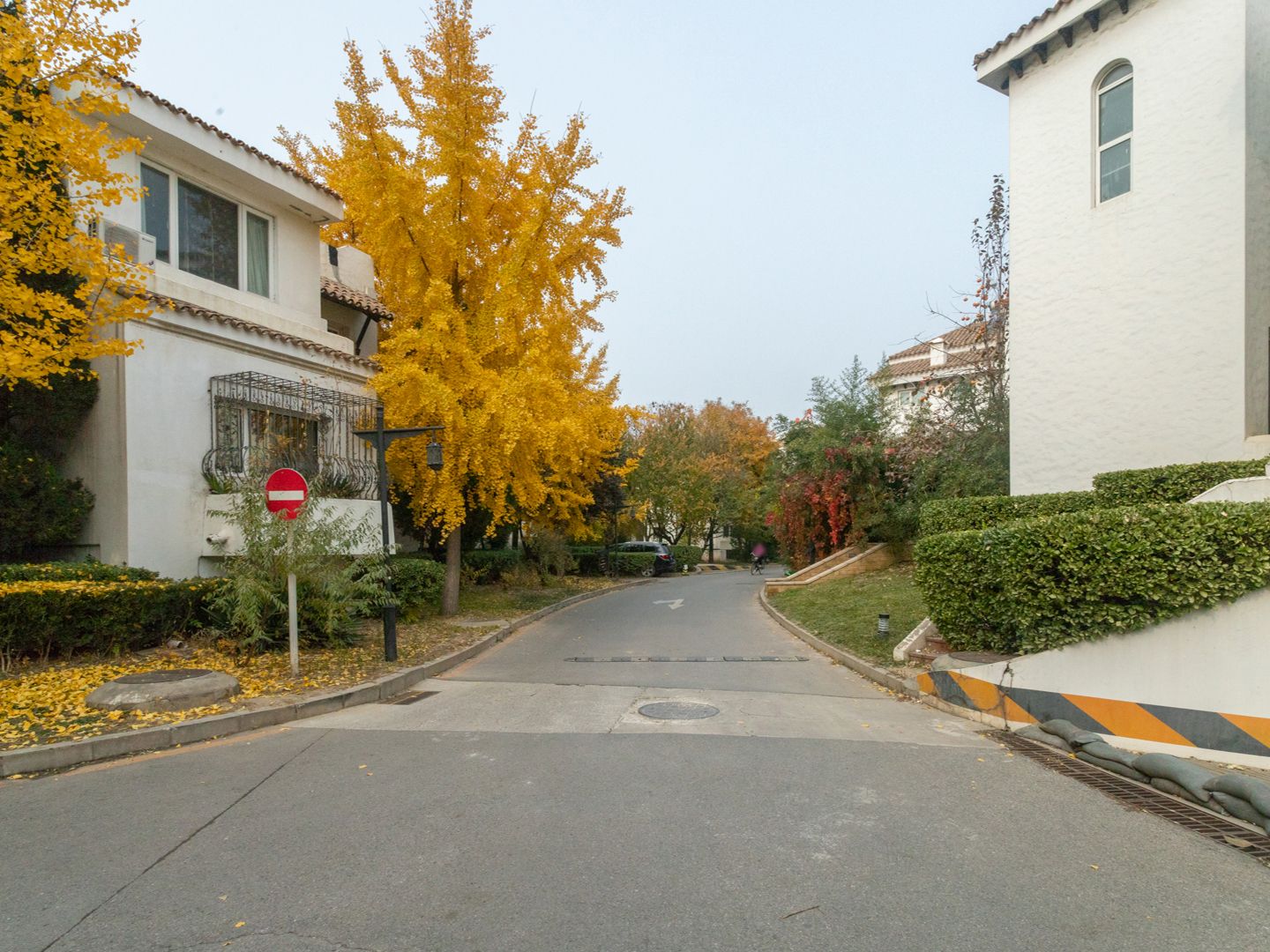 赢海庄园 environment