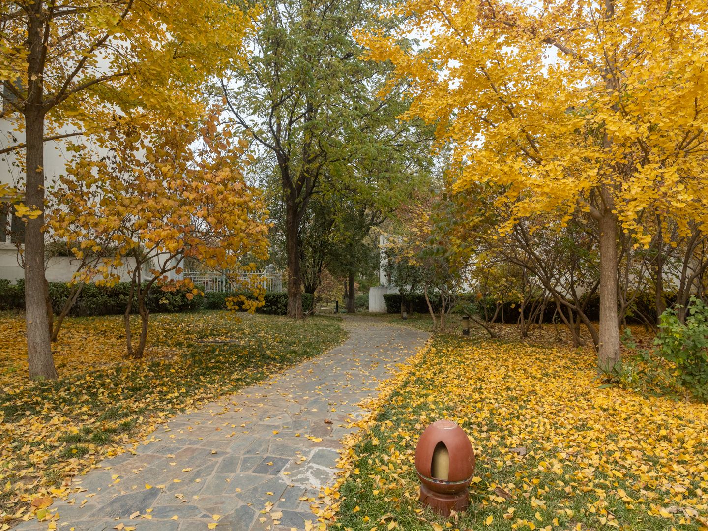 赢海庄园 environment