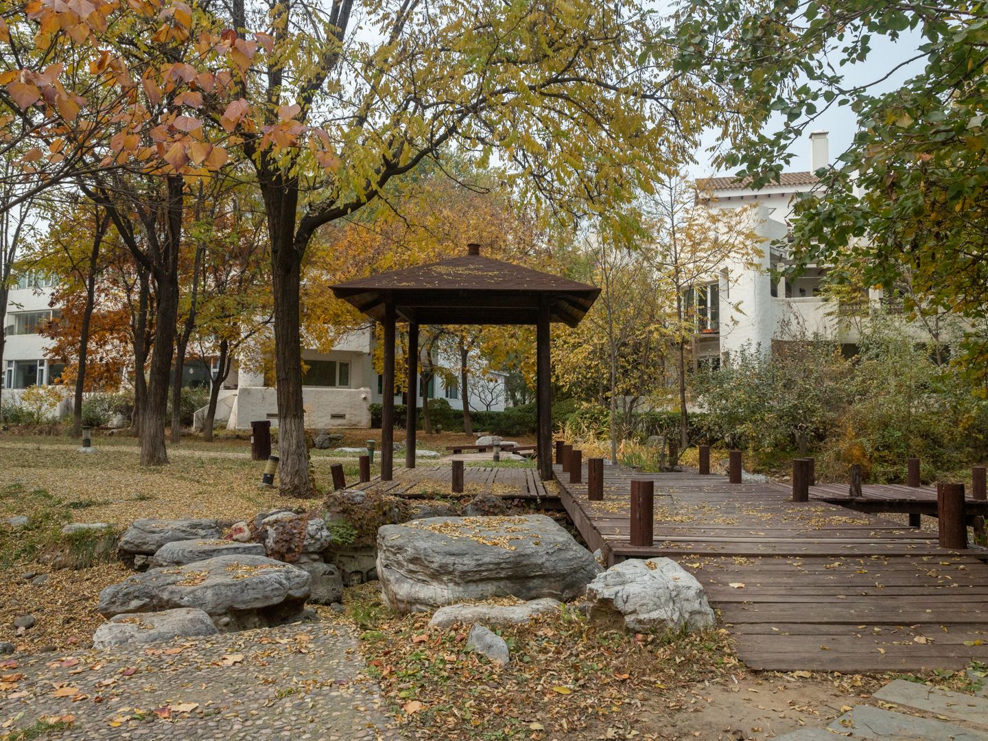 赢海庄园 environment