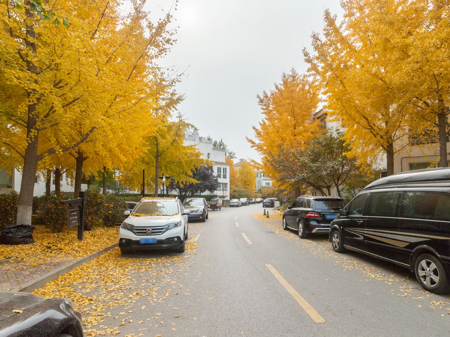 赢海庄园 environment
