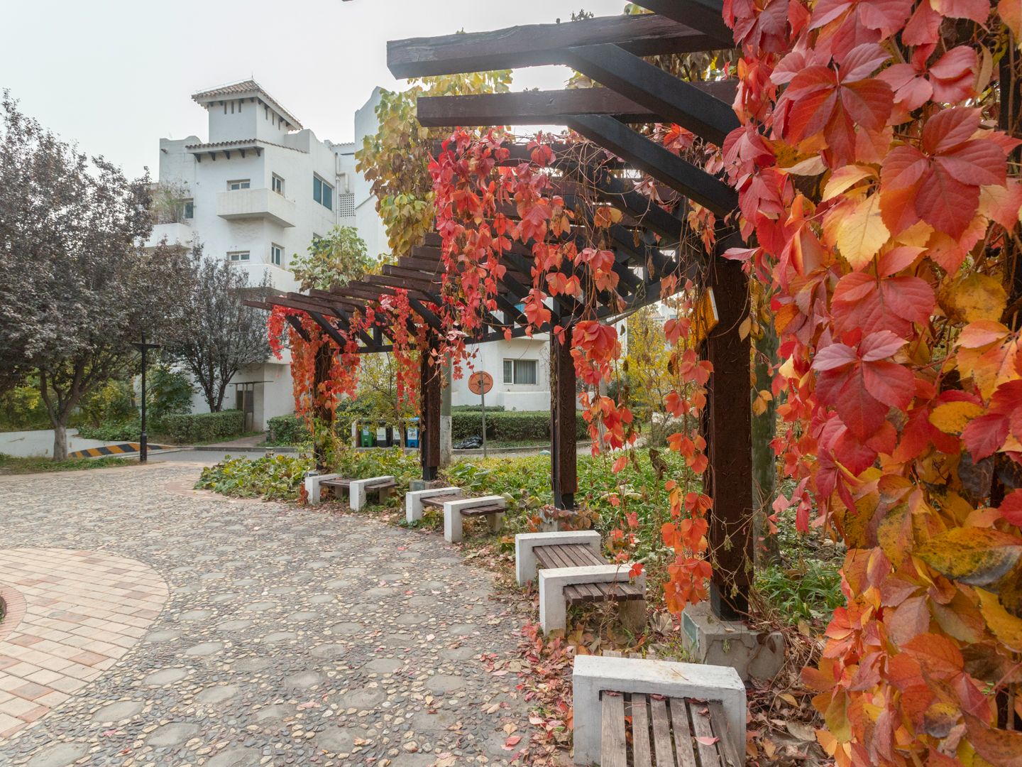 赢海庄园 environment