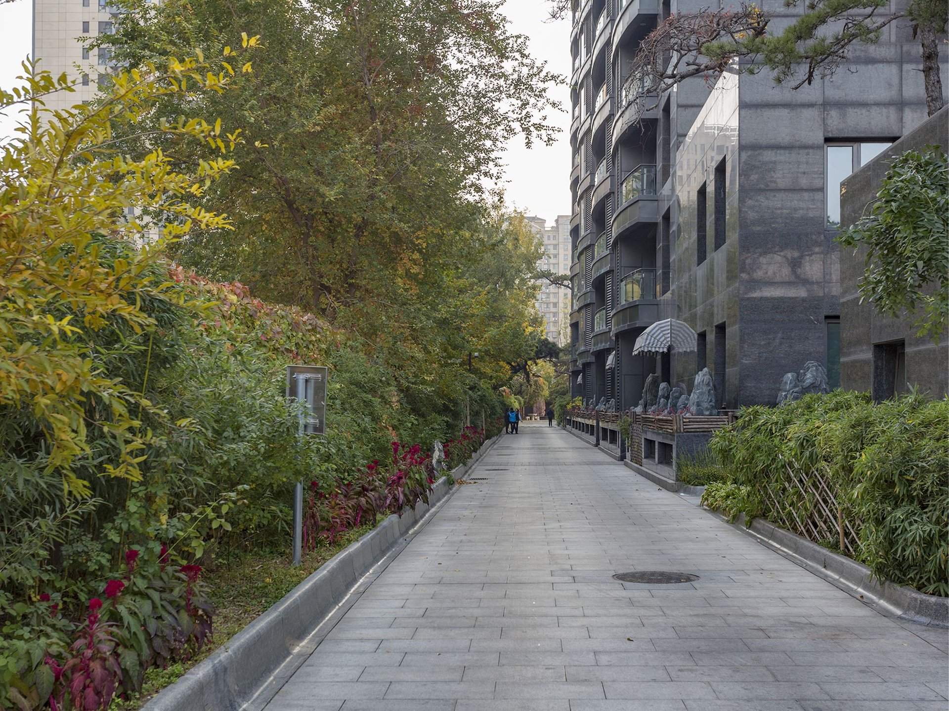 一瓶八斗 environment