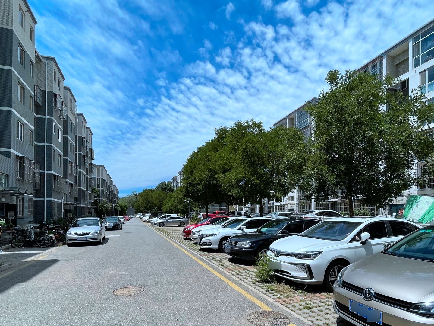 宜山居 environment