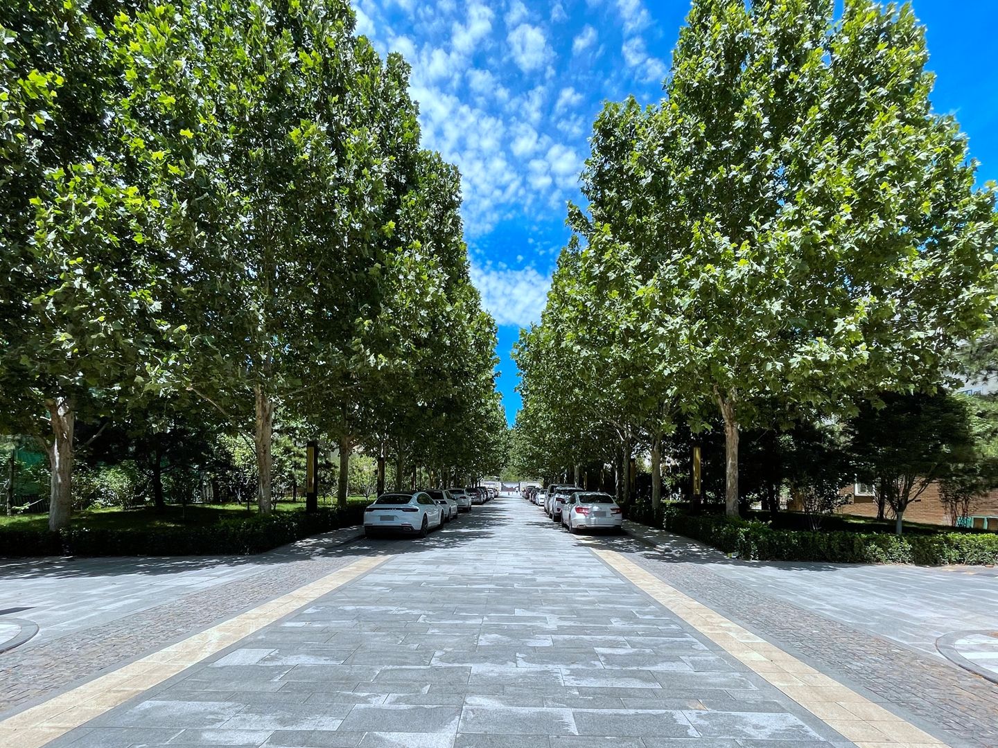 宜山居 environment