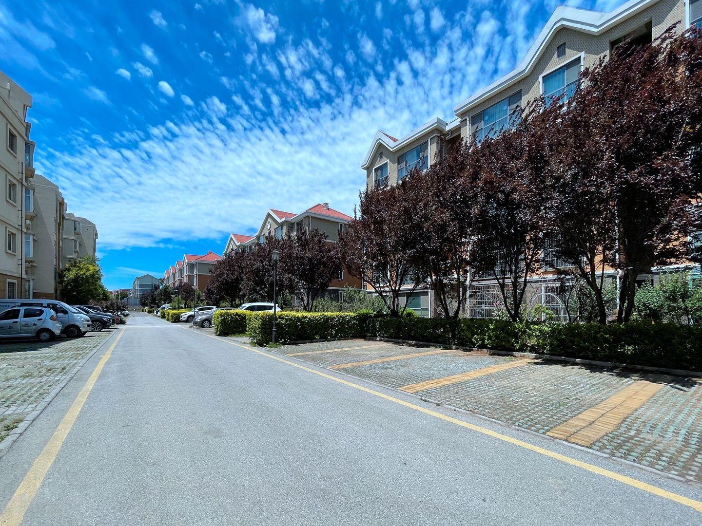 宜山居 environment