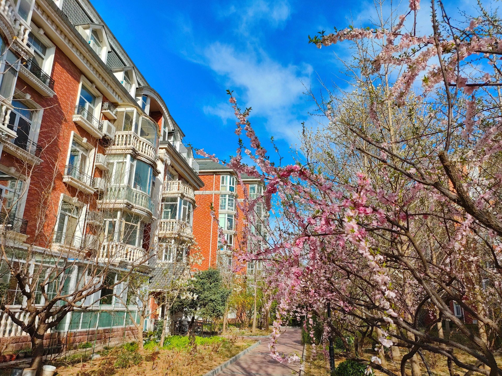 圆明园花园别墅 environment