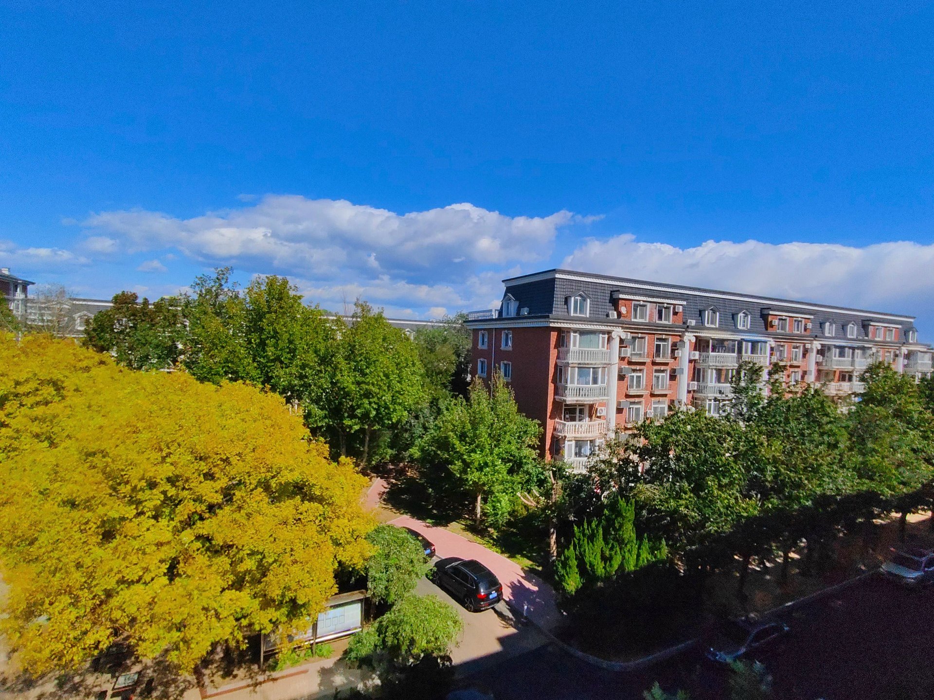 圆明园花园别墅 environment