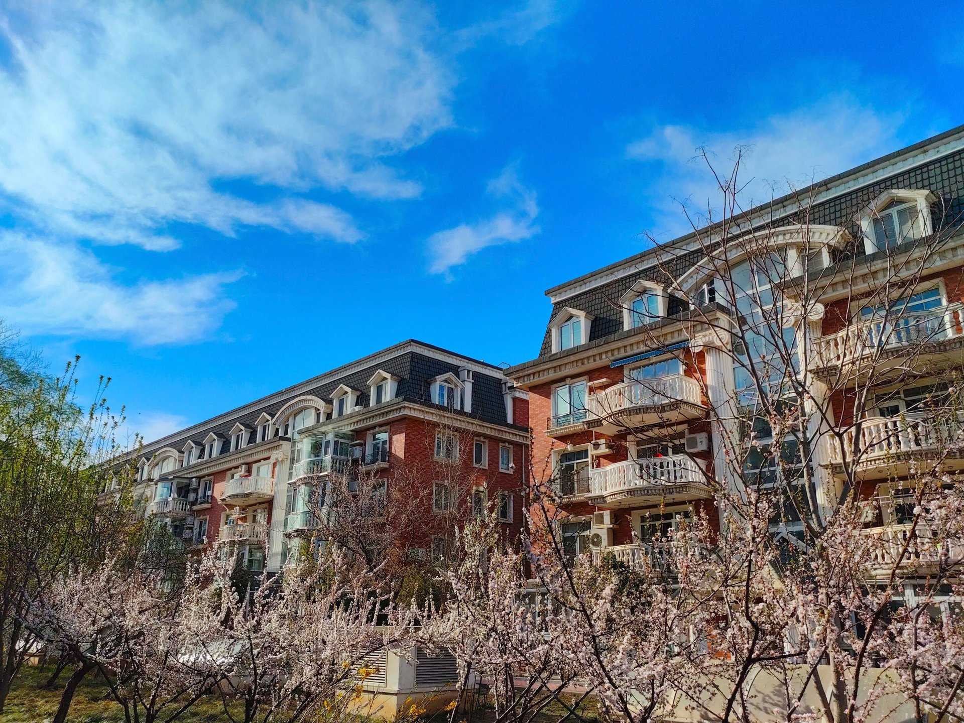 圆明园花园别墅 environment