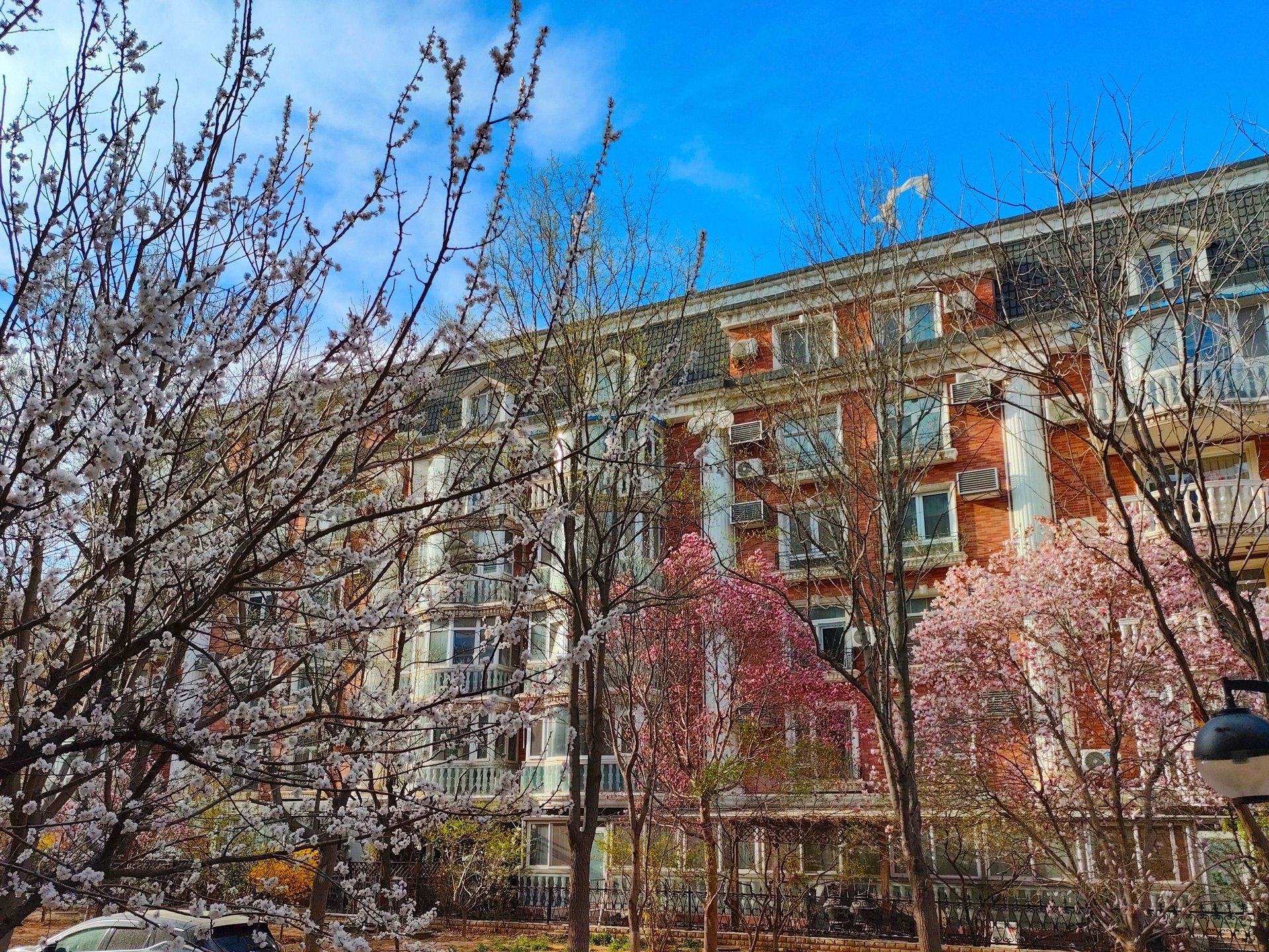 圆明园花园别墅 environment