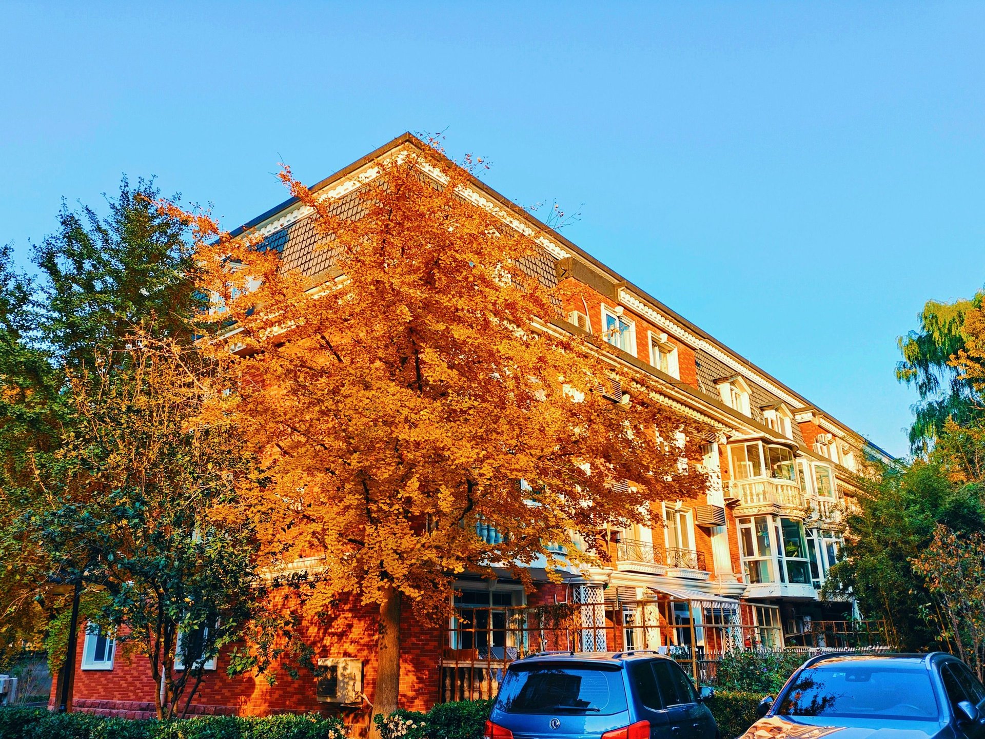 圆明园花园别墅 environment