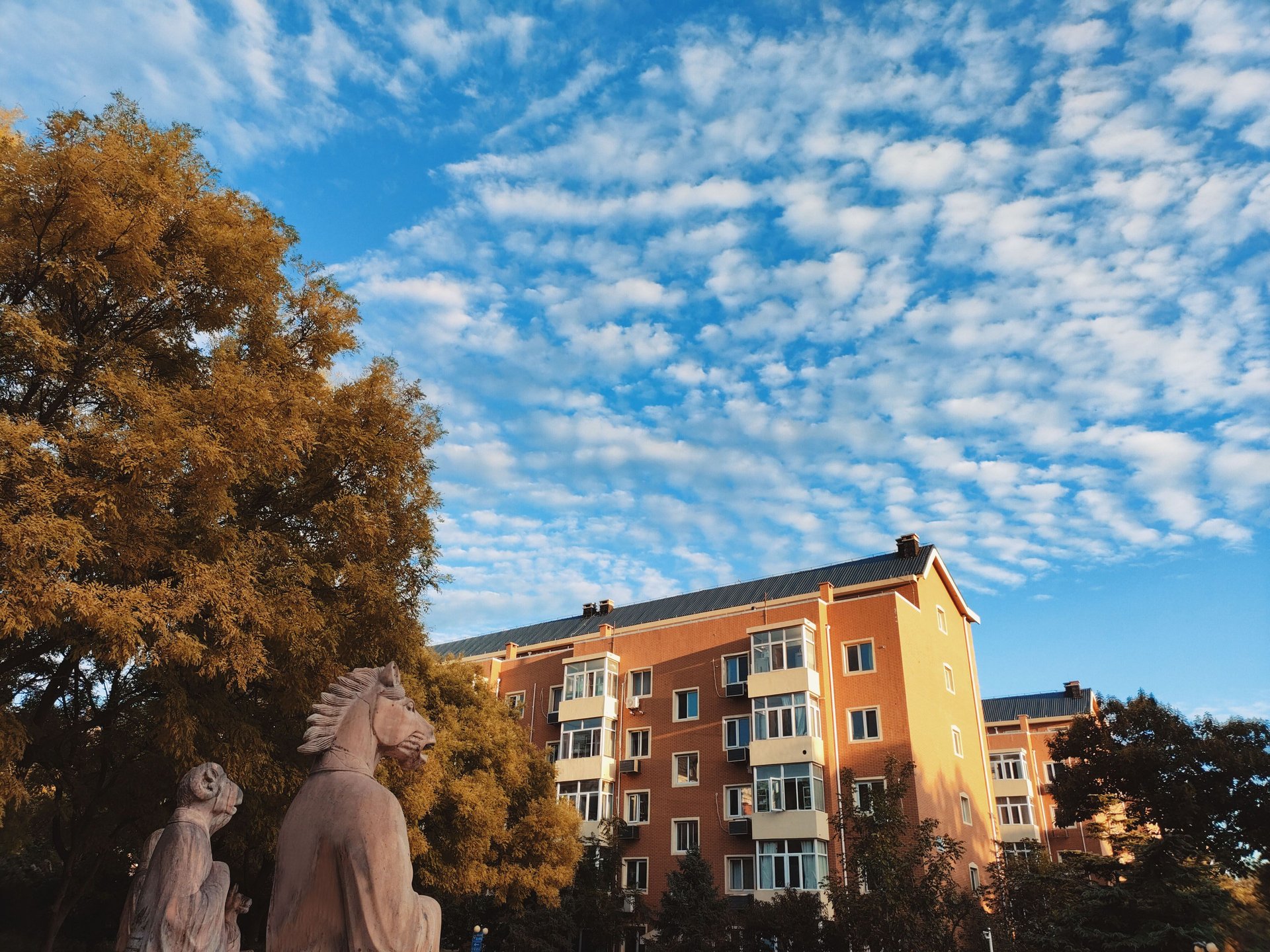 圆明园花园别墅 environment