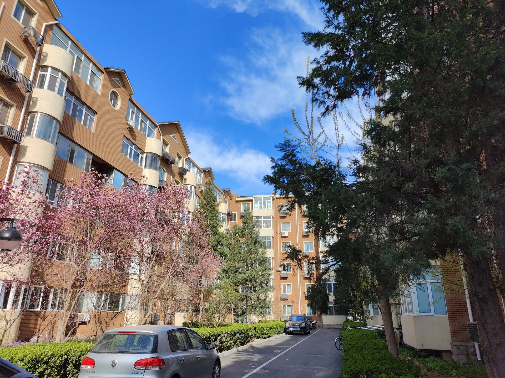 圆明园花园别墅 environment