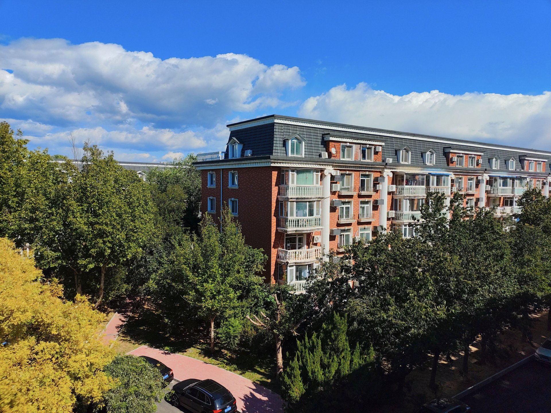 圆明园花园别墅 environment