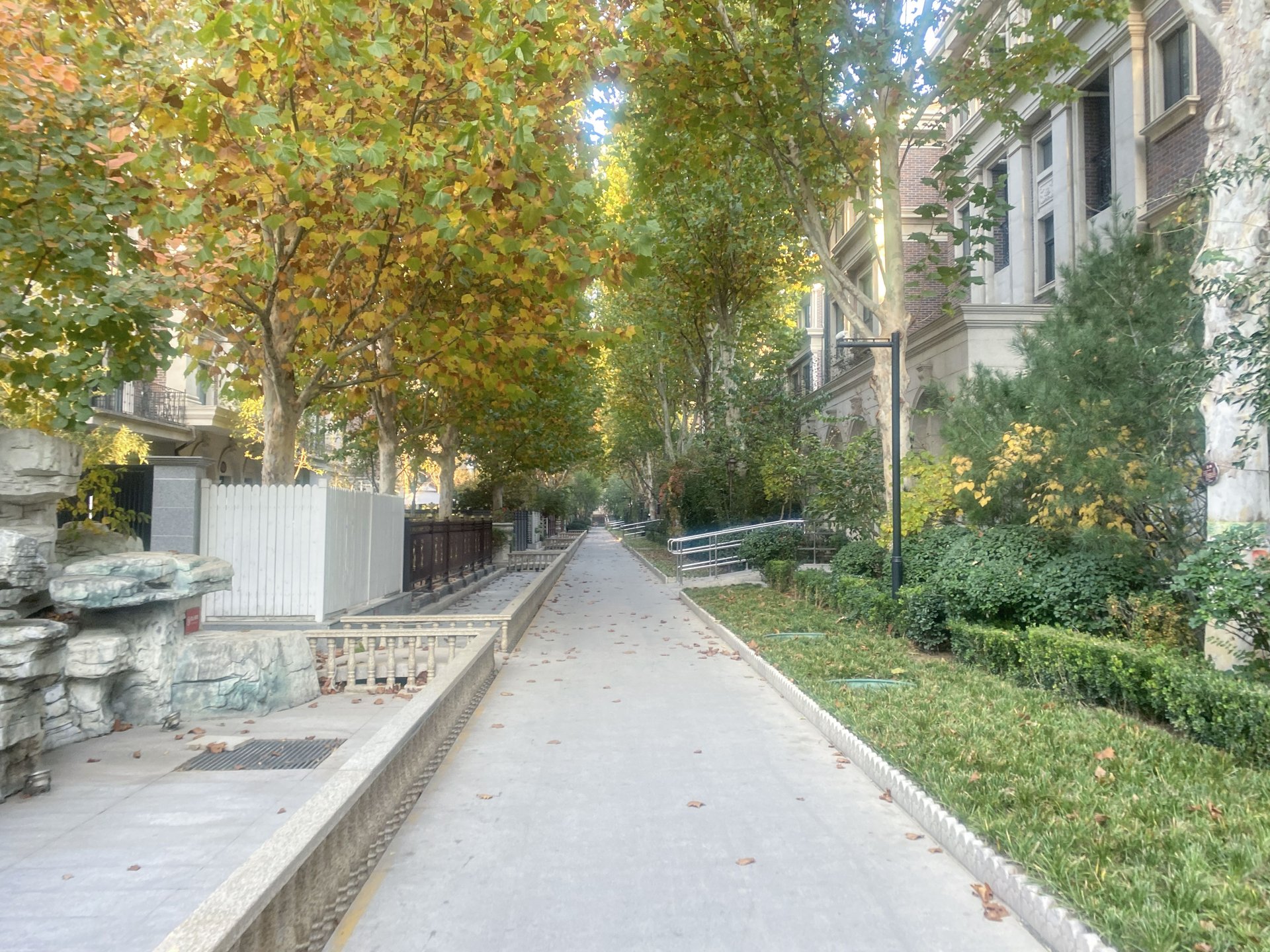 远洋天著二期 environment