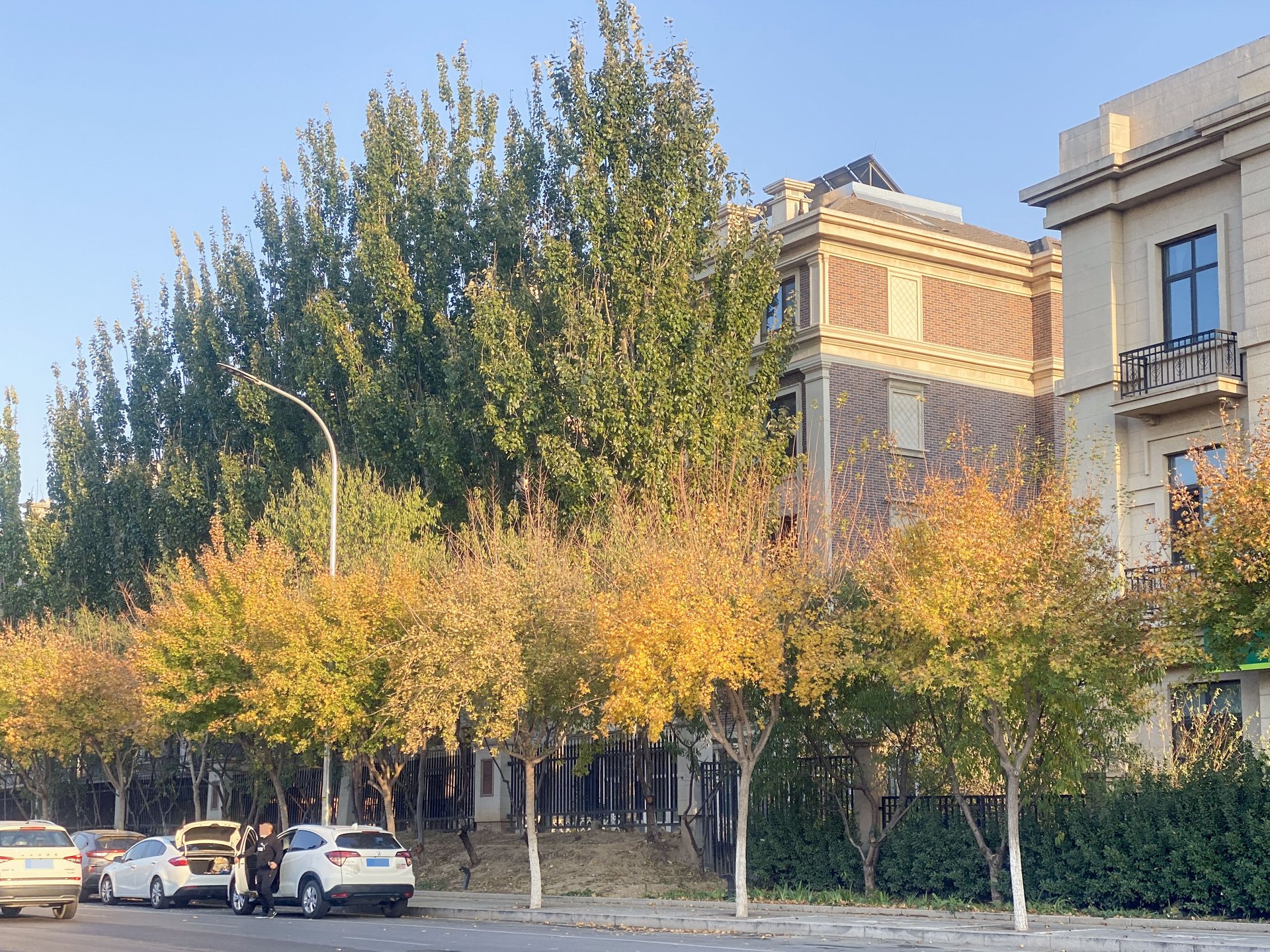 远洋天著一期 environment