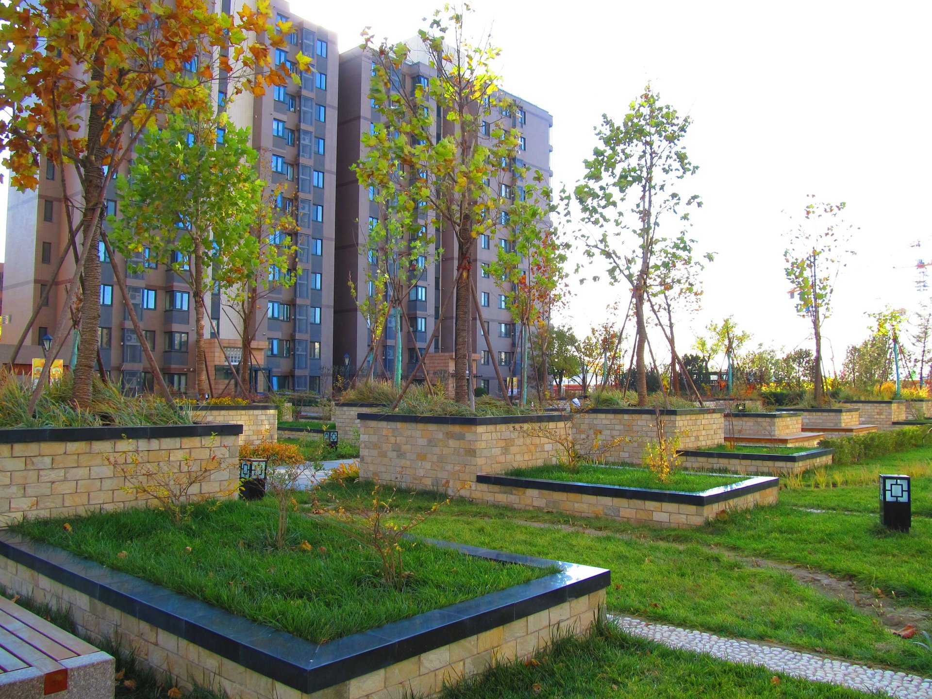 远洋一方林语苑 environment