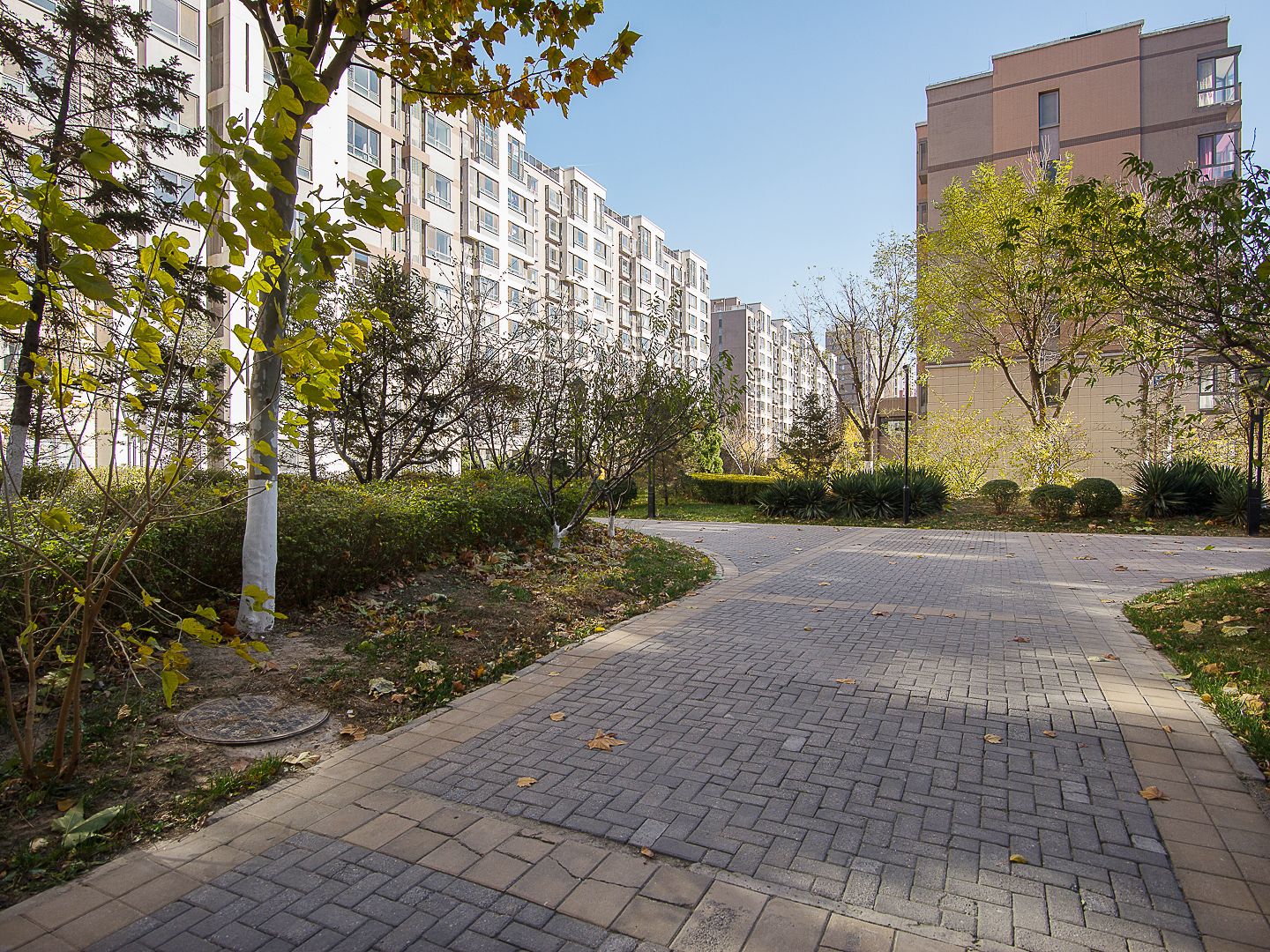 远洋一方润园2号院 environment