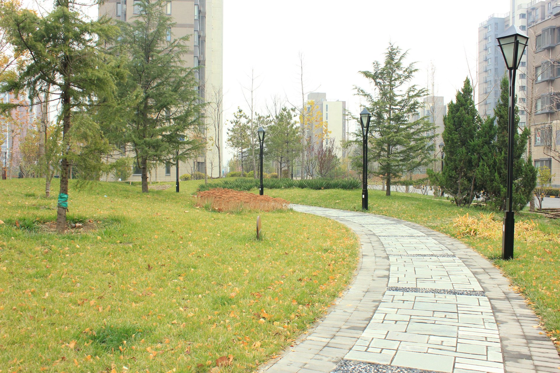 远洋一方润园2号院 environment