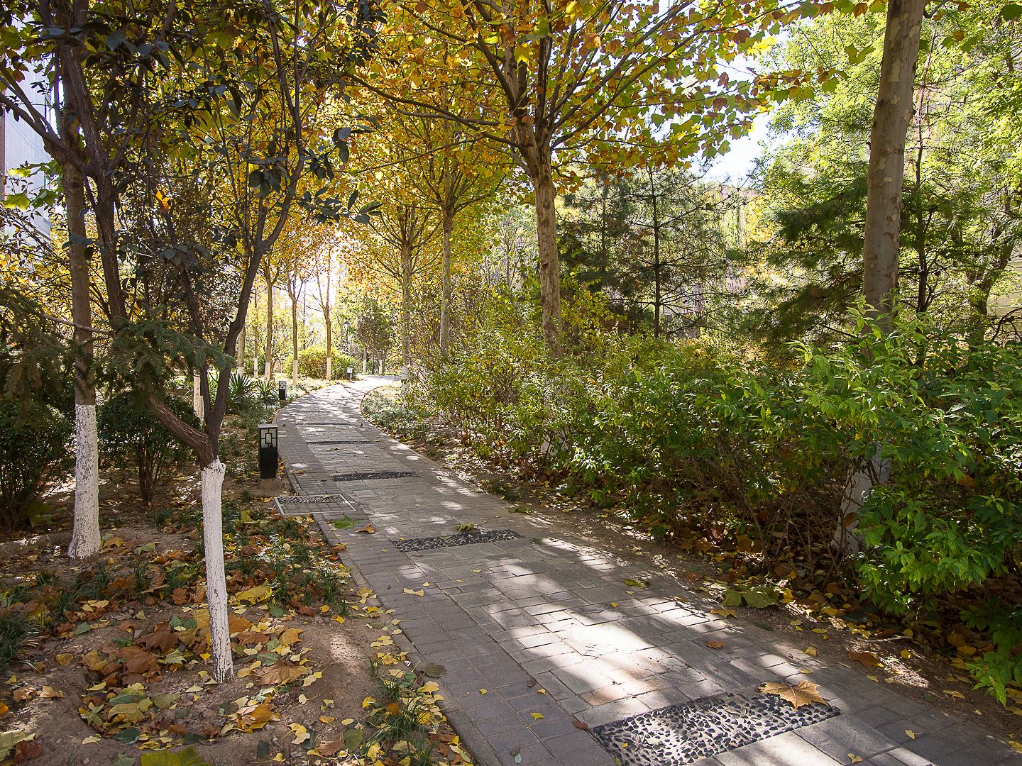 远洋一方润园2号院 environment