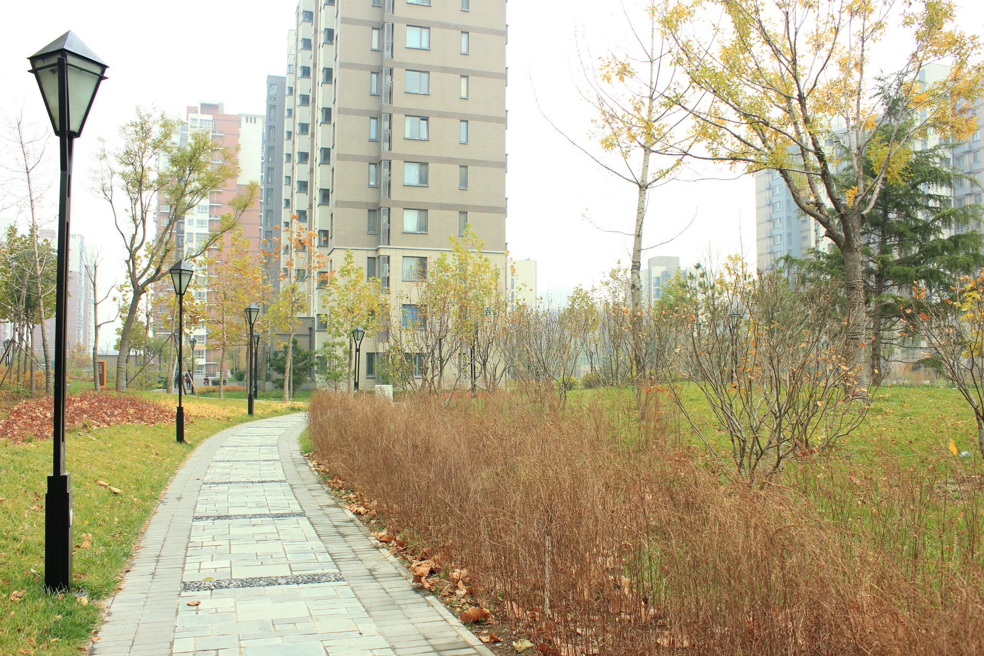 远洋一方润园2号院 environment