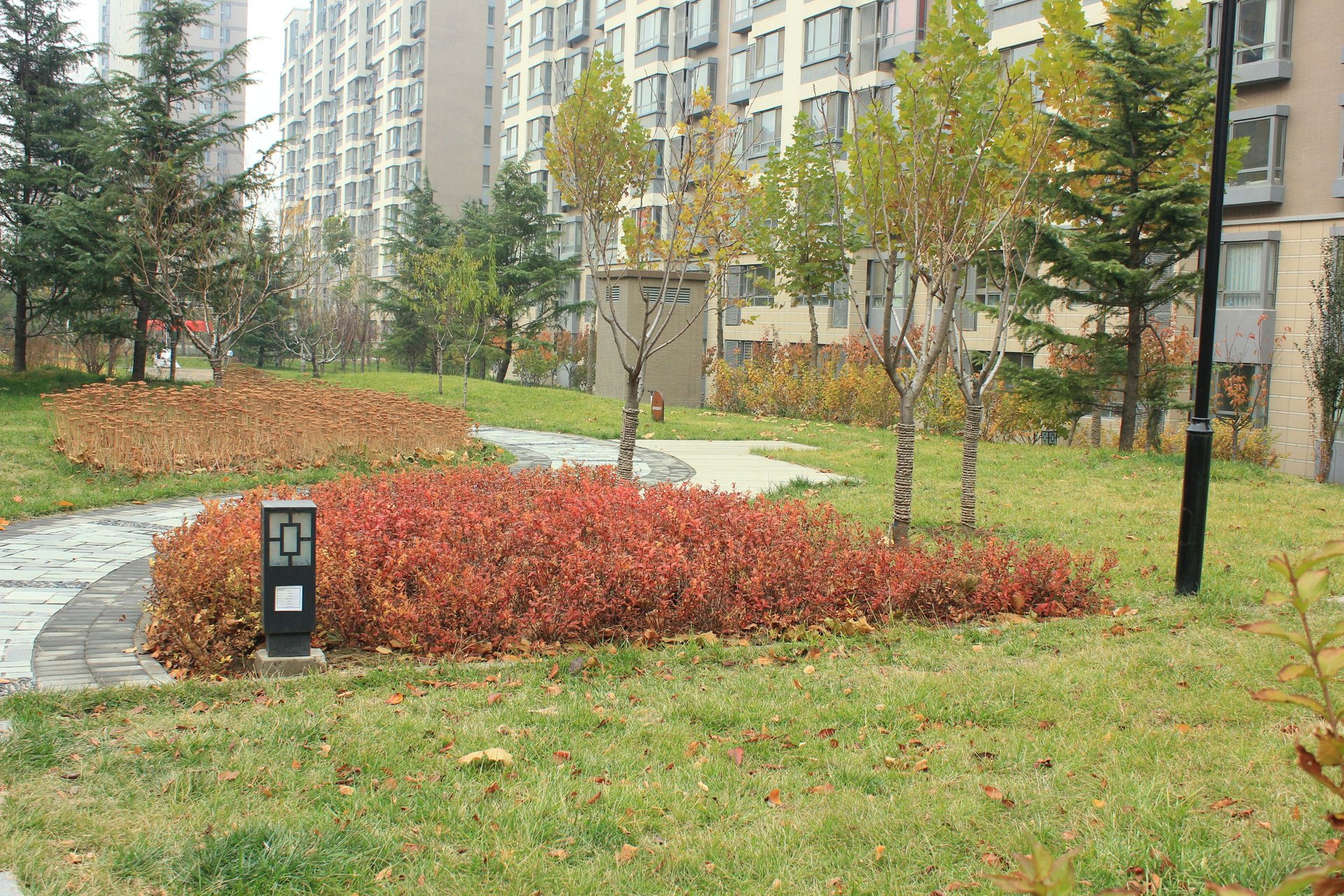 远洋一方润园2号院 environment