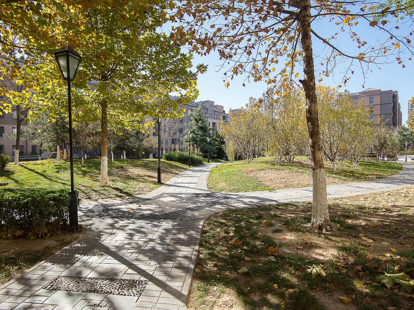 远洋一方润园2号院 environment