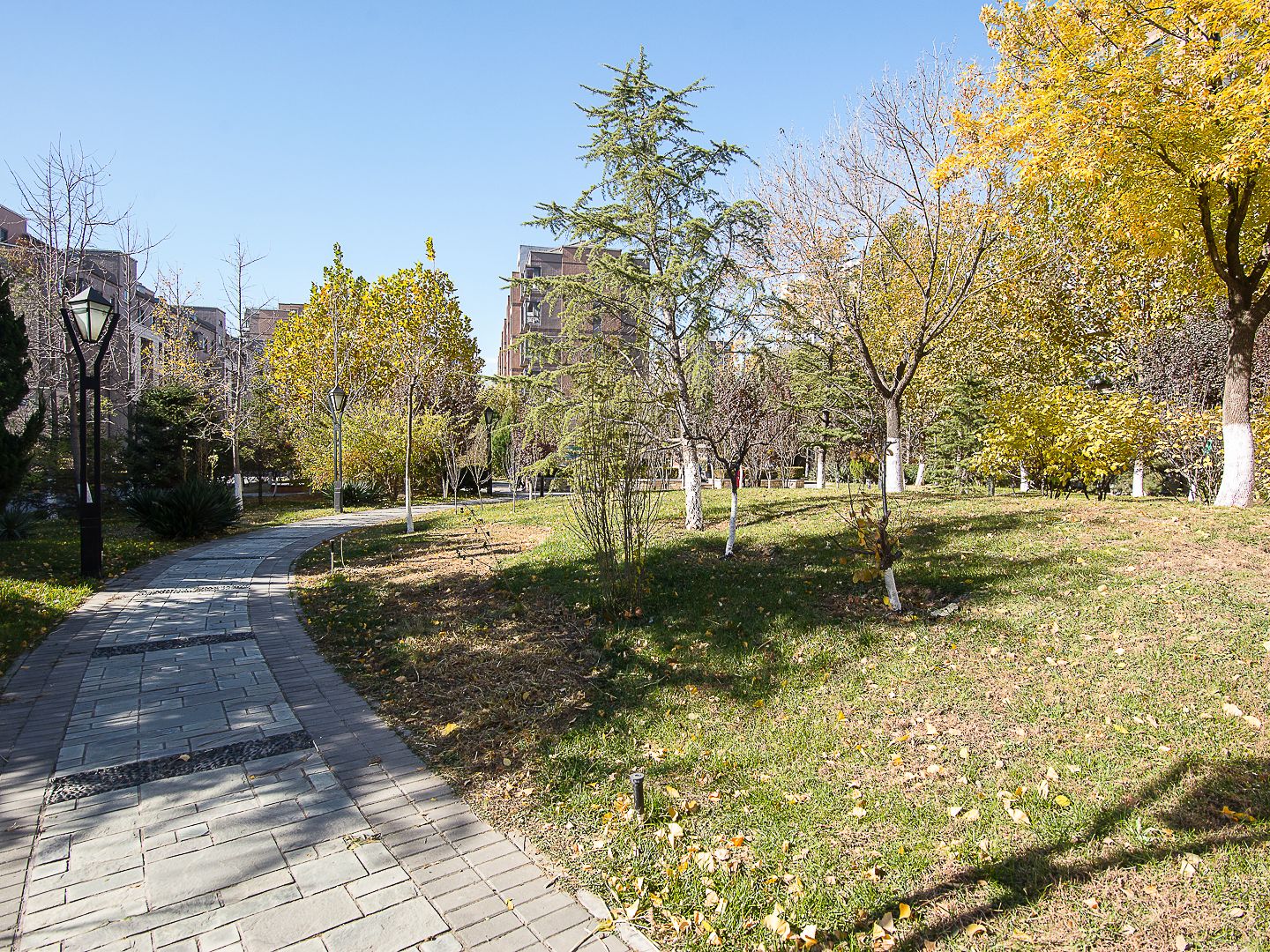 远洋一方润园2号院 environment