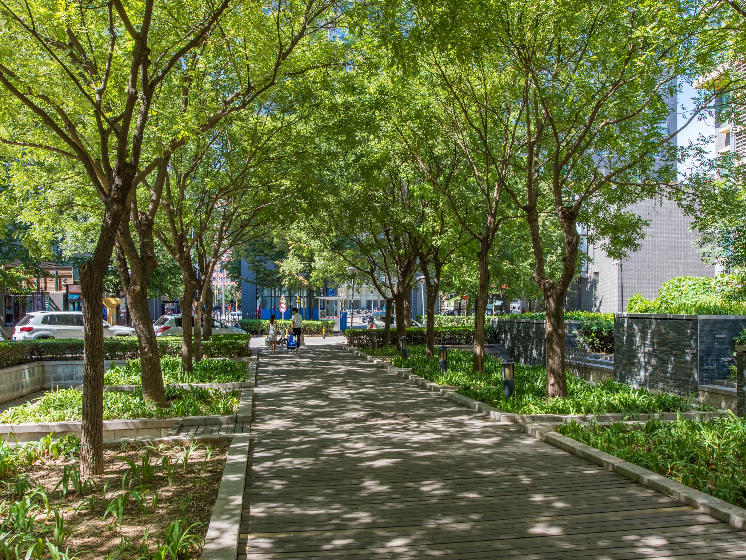 远洋自然 environment