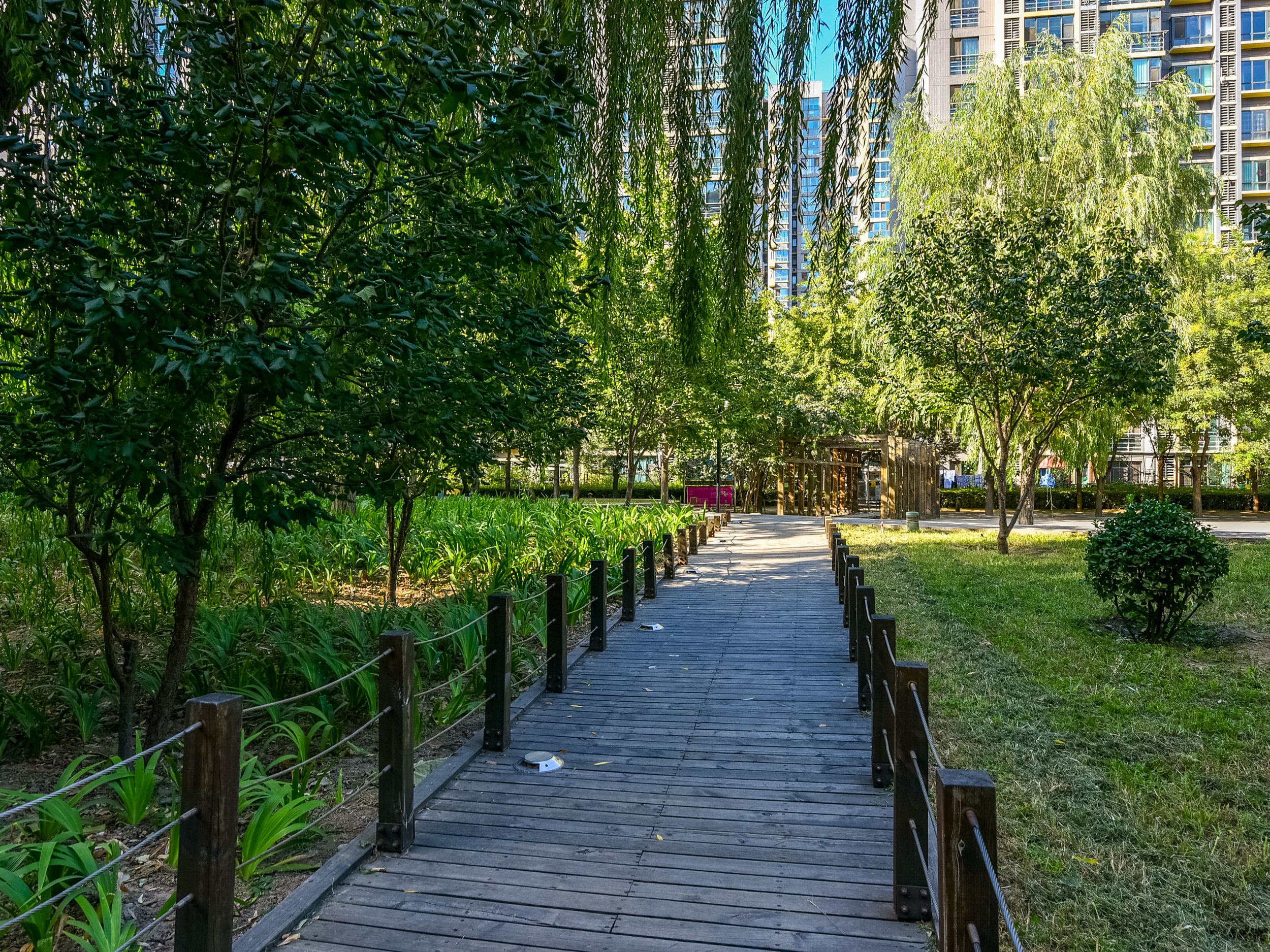 远洋自然 environment