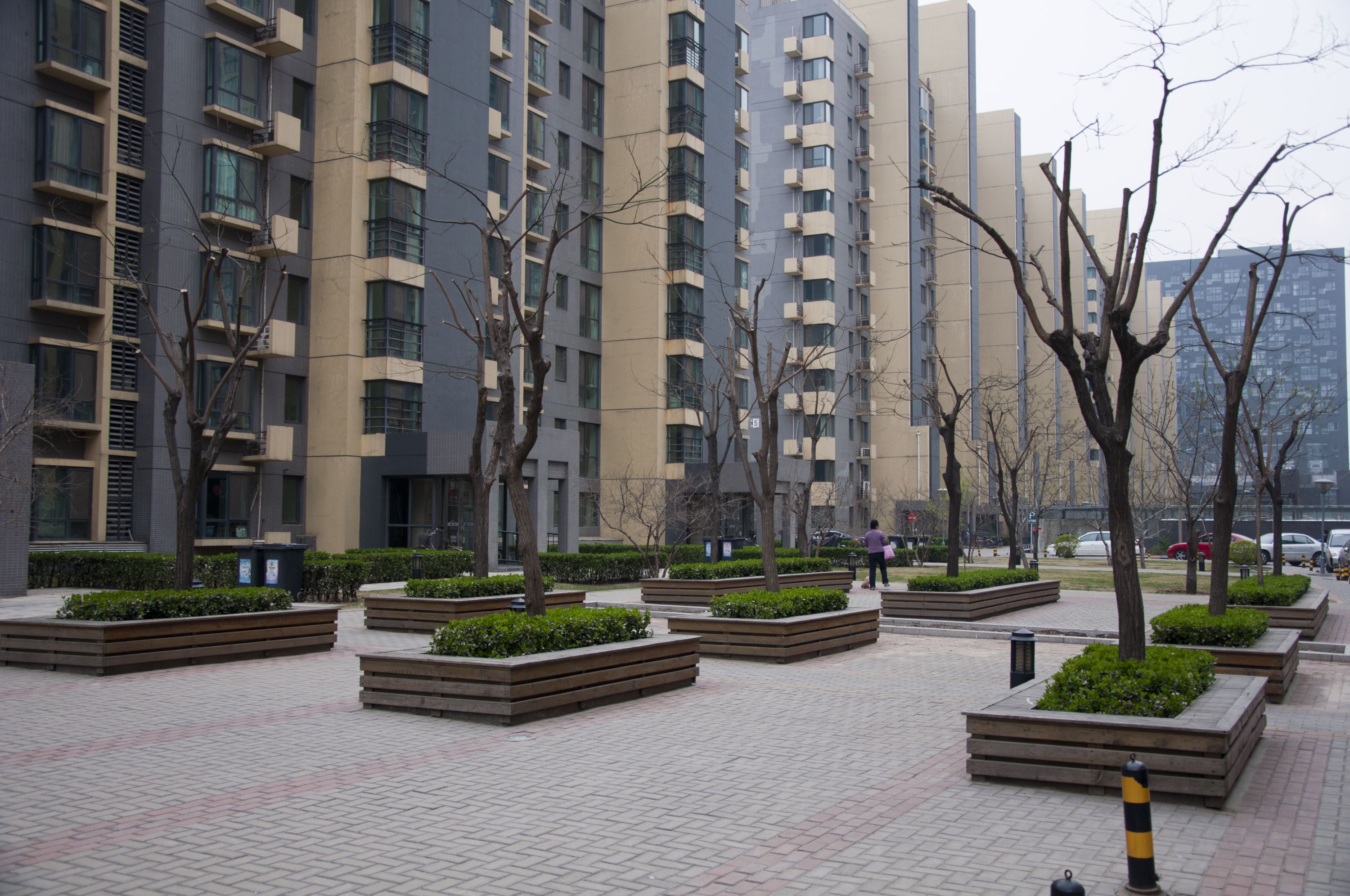 远洋自然 environment