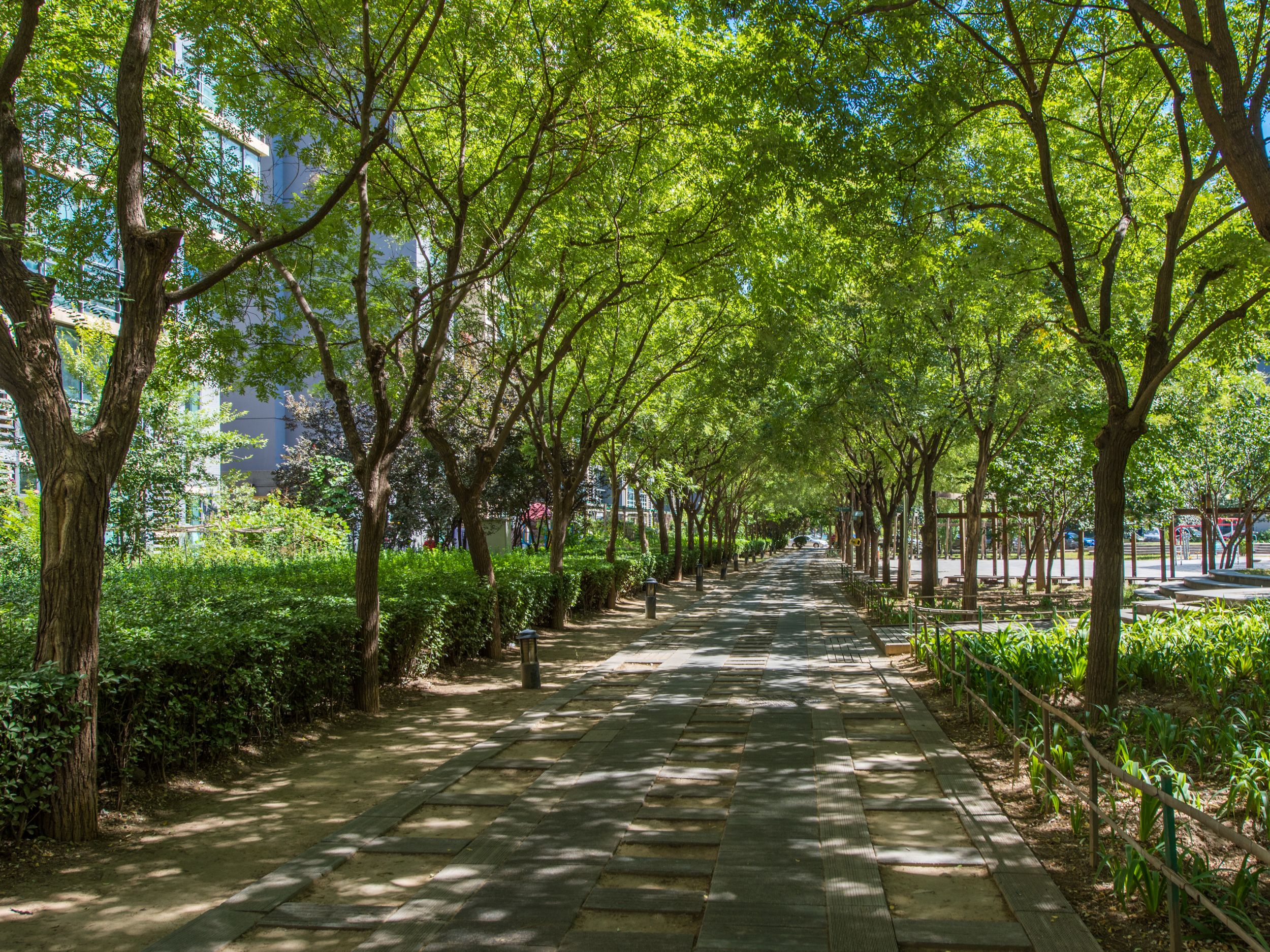 远洋自然 environment