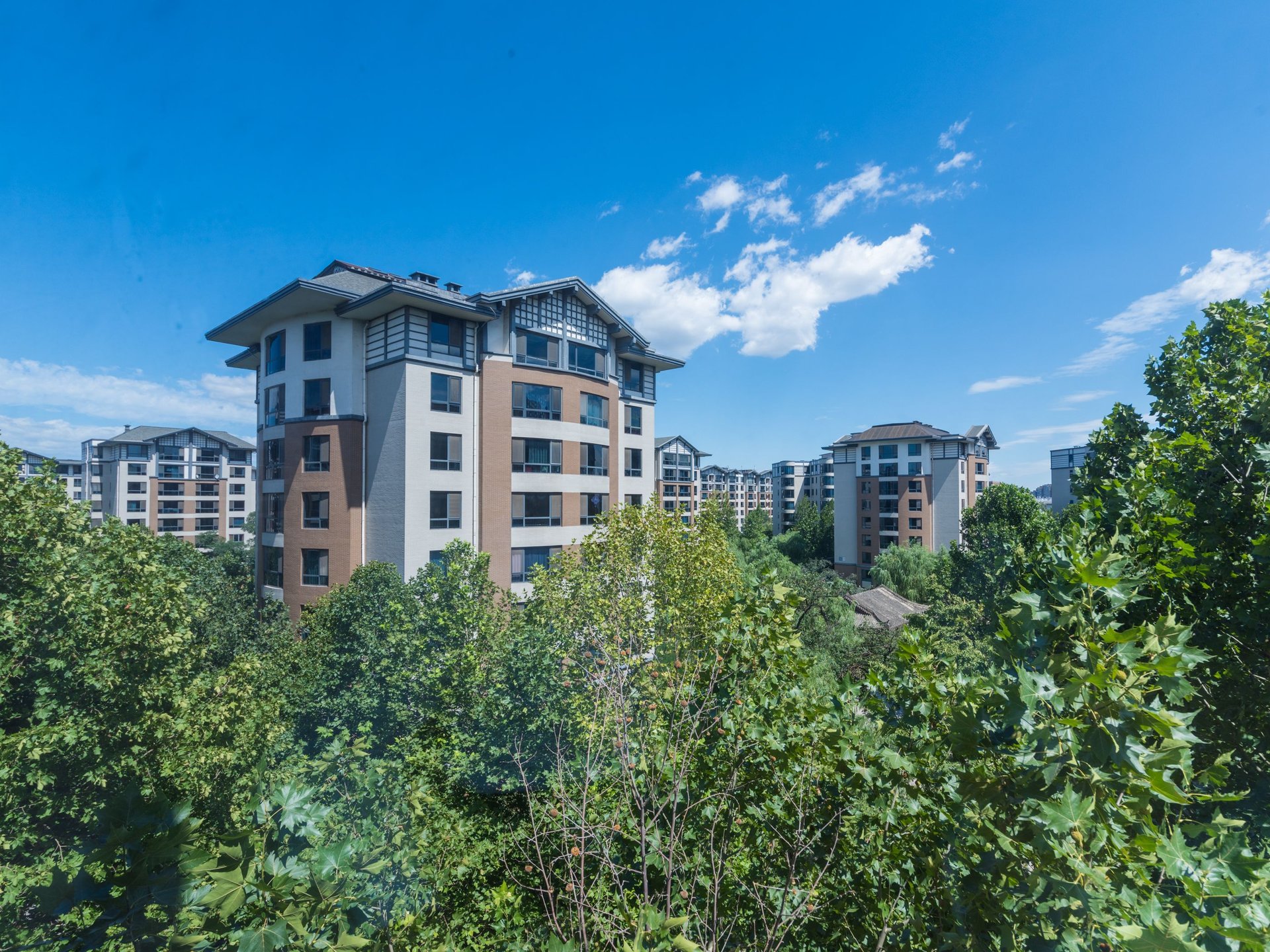 乐府江南 environment