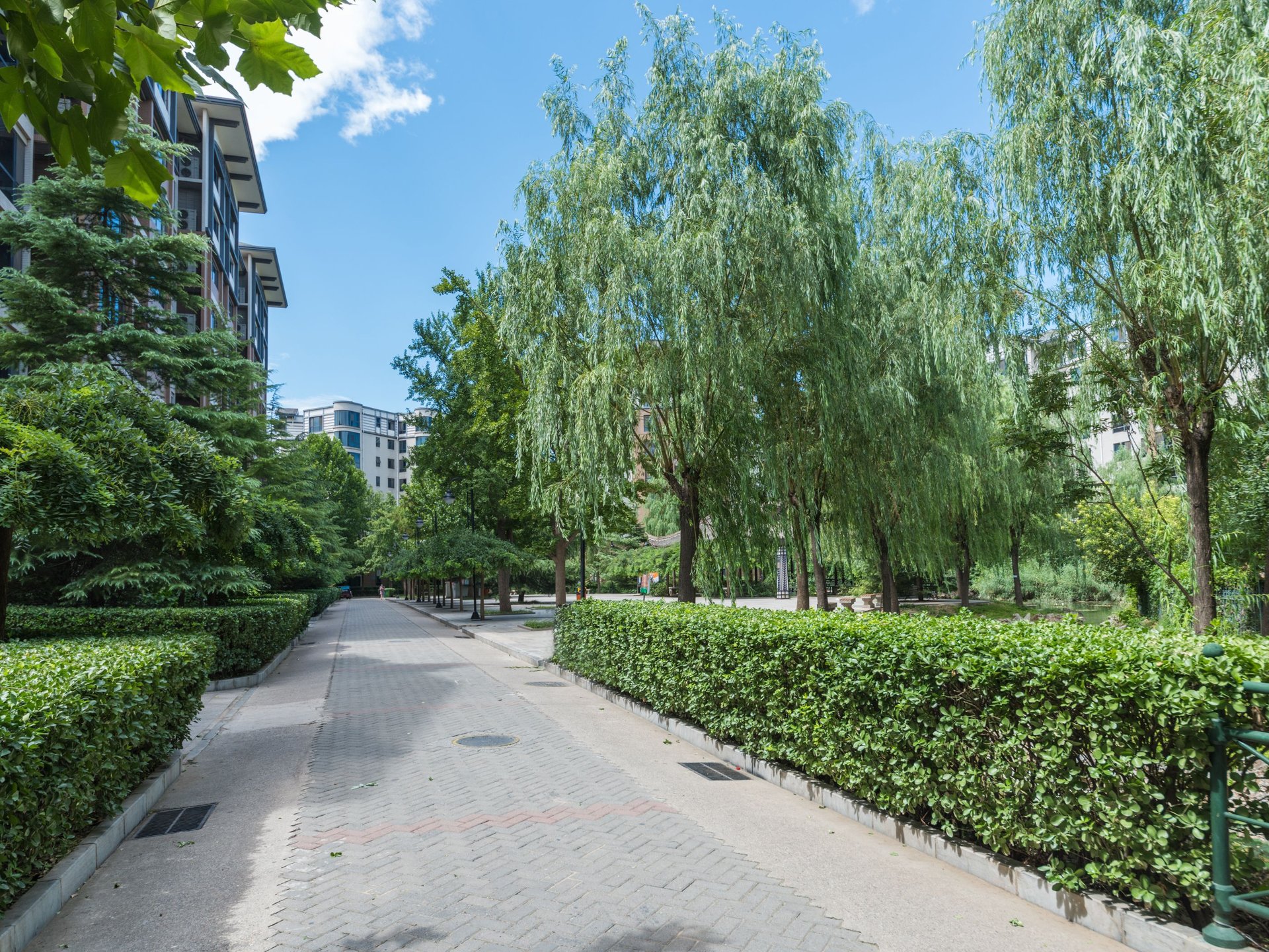 乐府江南 environment