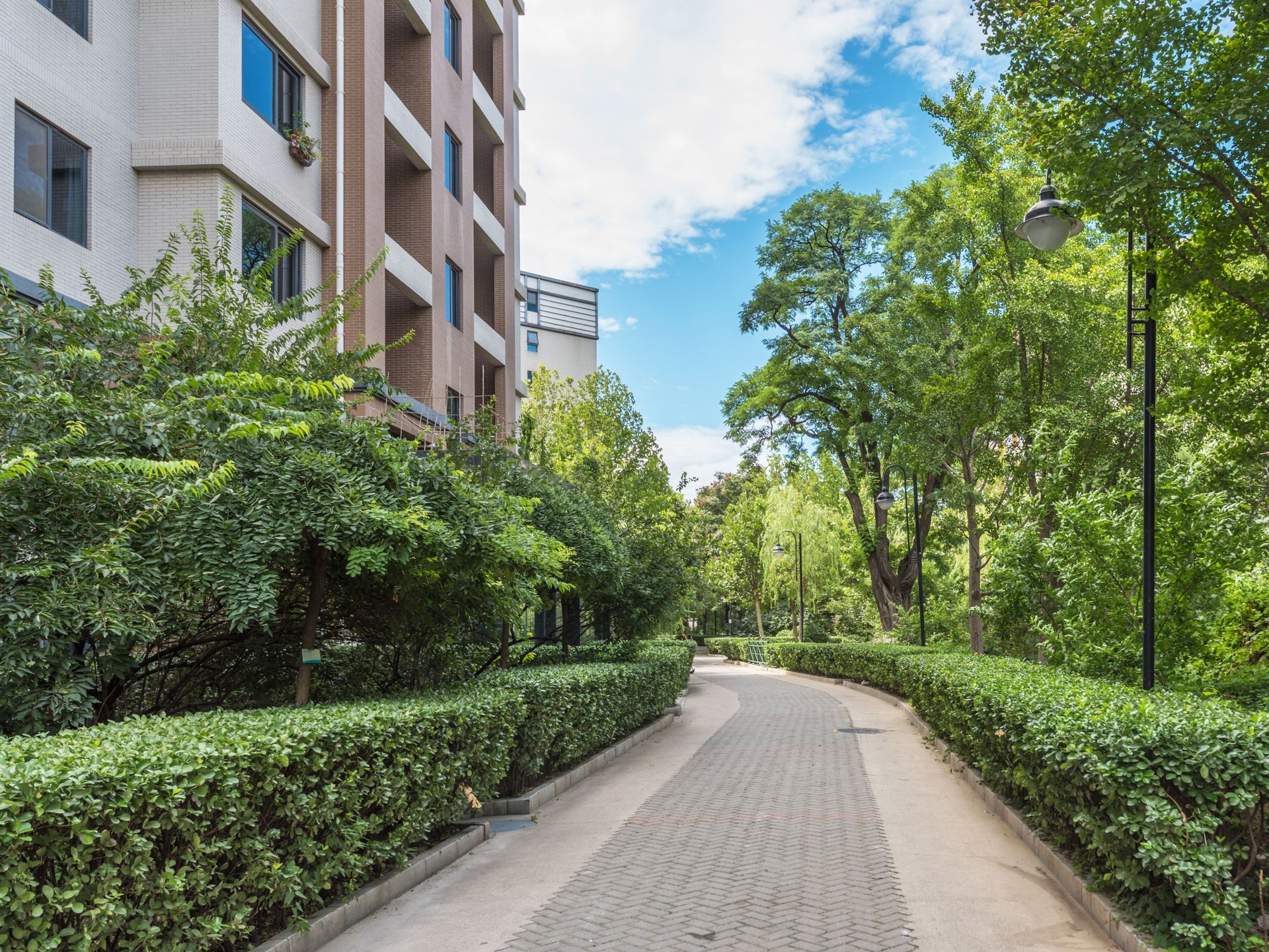 乐府江南 environment