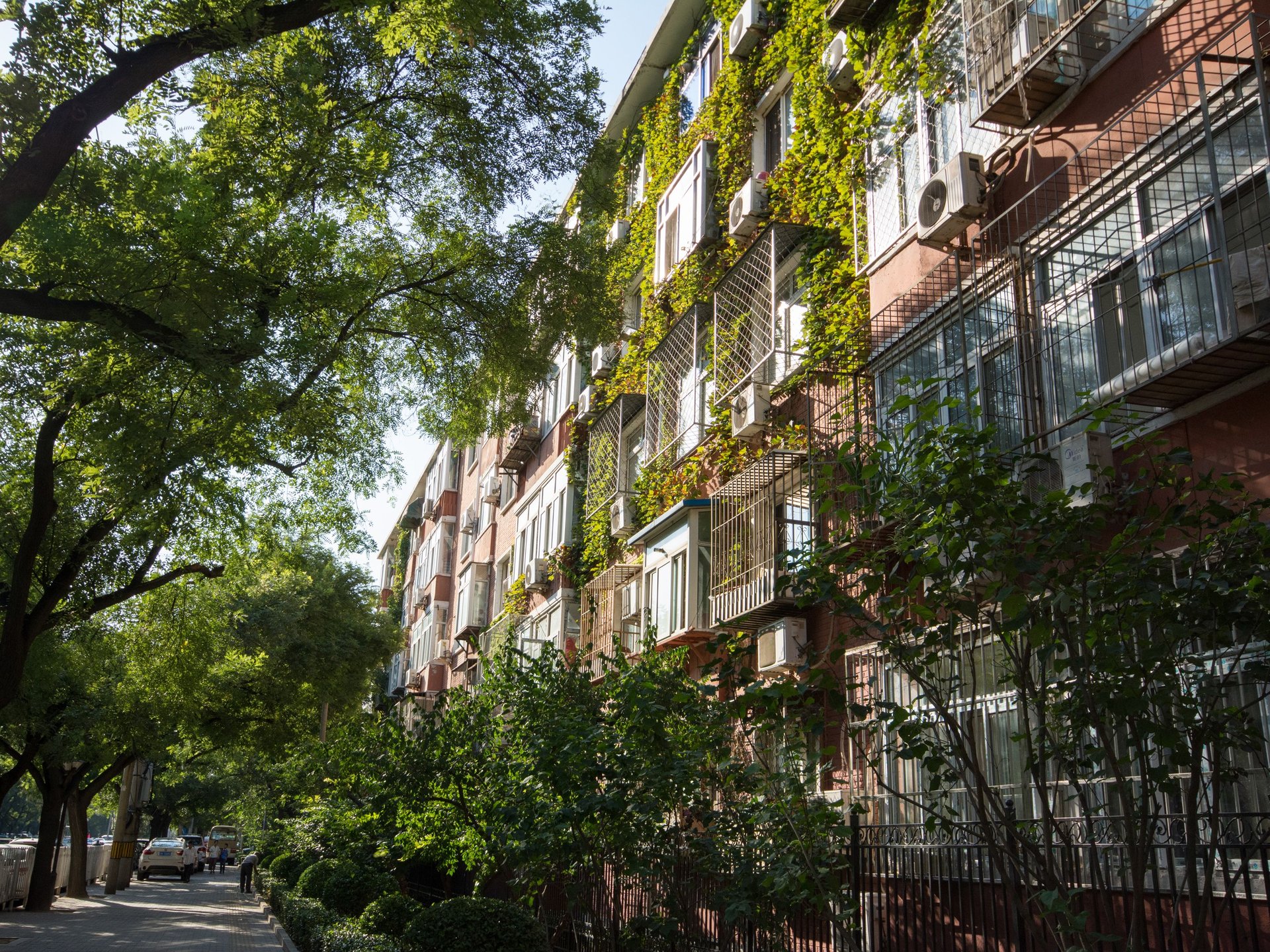 月坛北街 environment