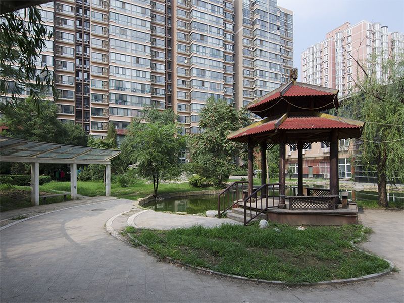 御景山 environment