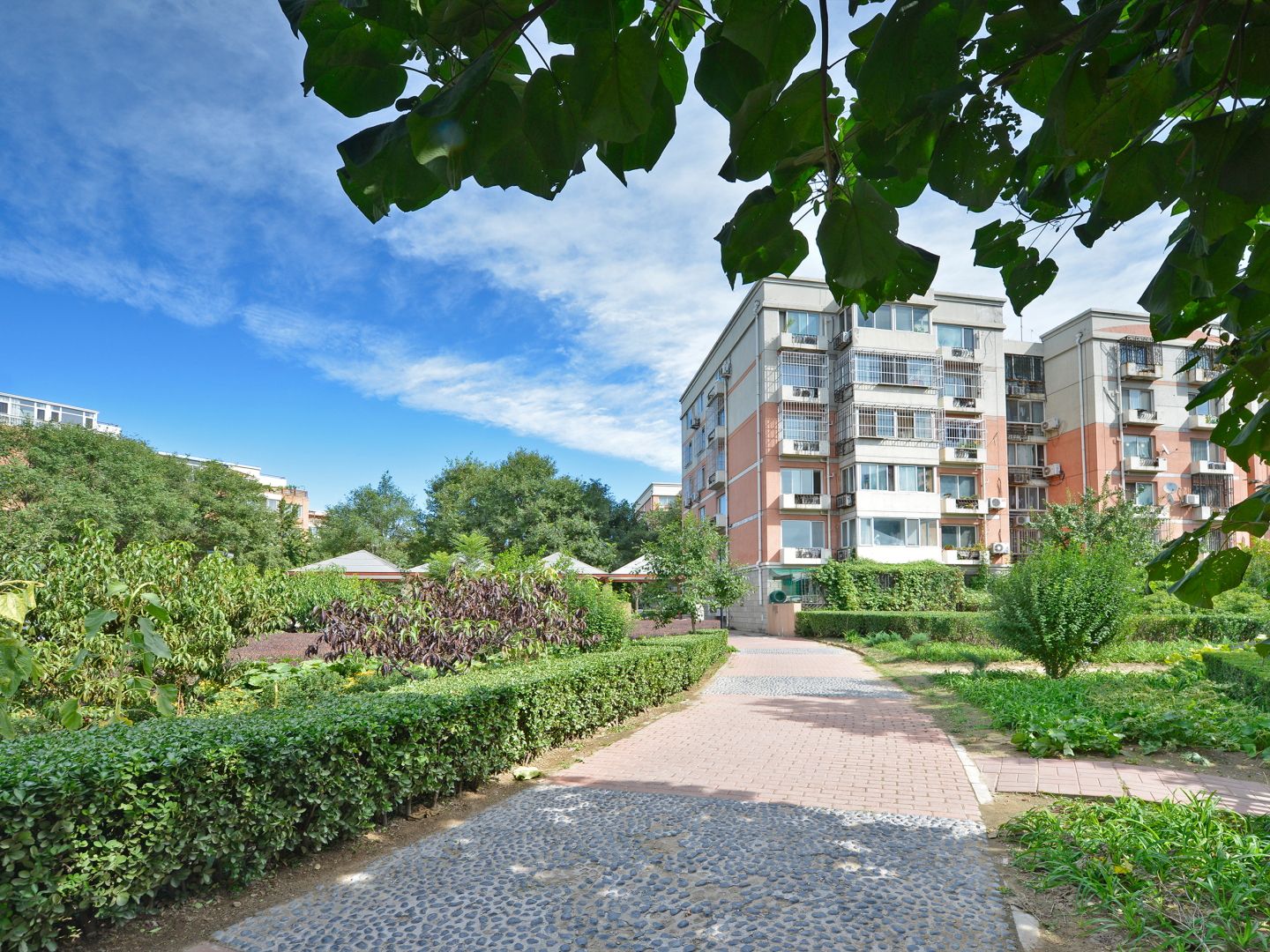 云趣园三区 environment