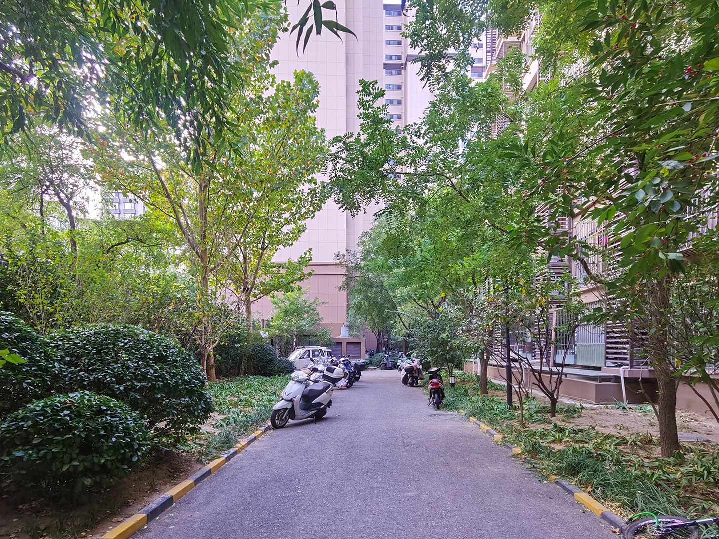 玉璞家园 environment