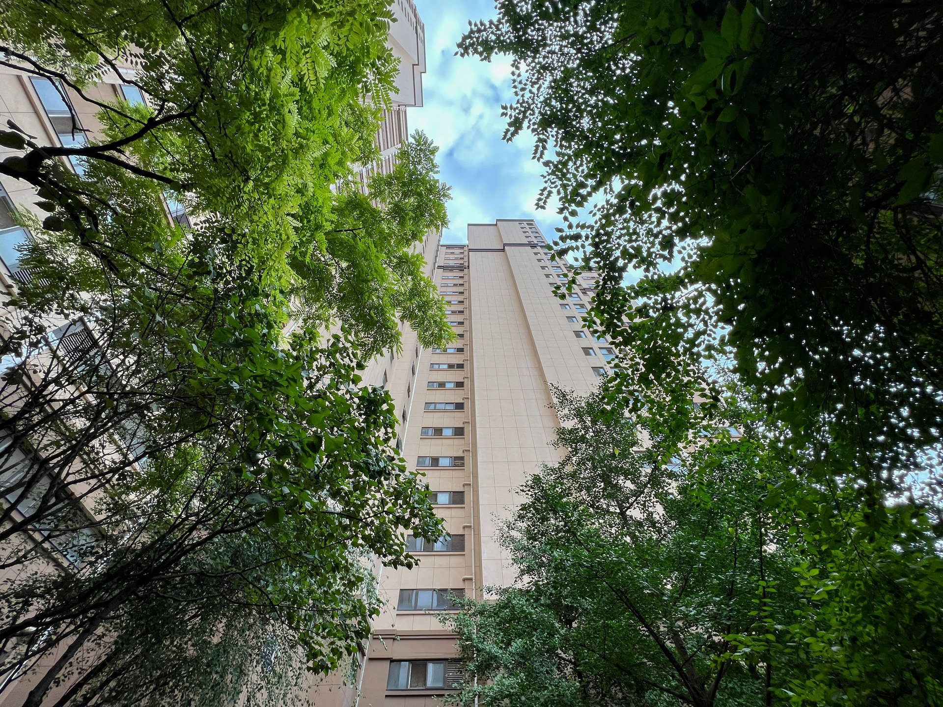 玉璞家园 environment