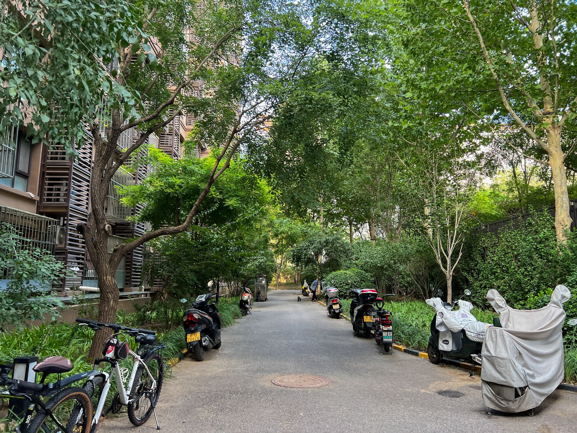 玉璞家园 environment