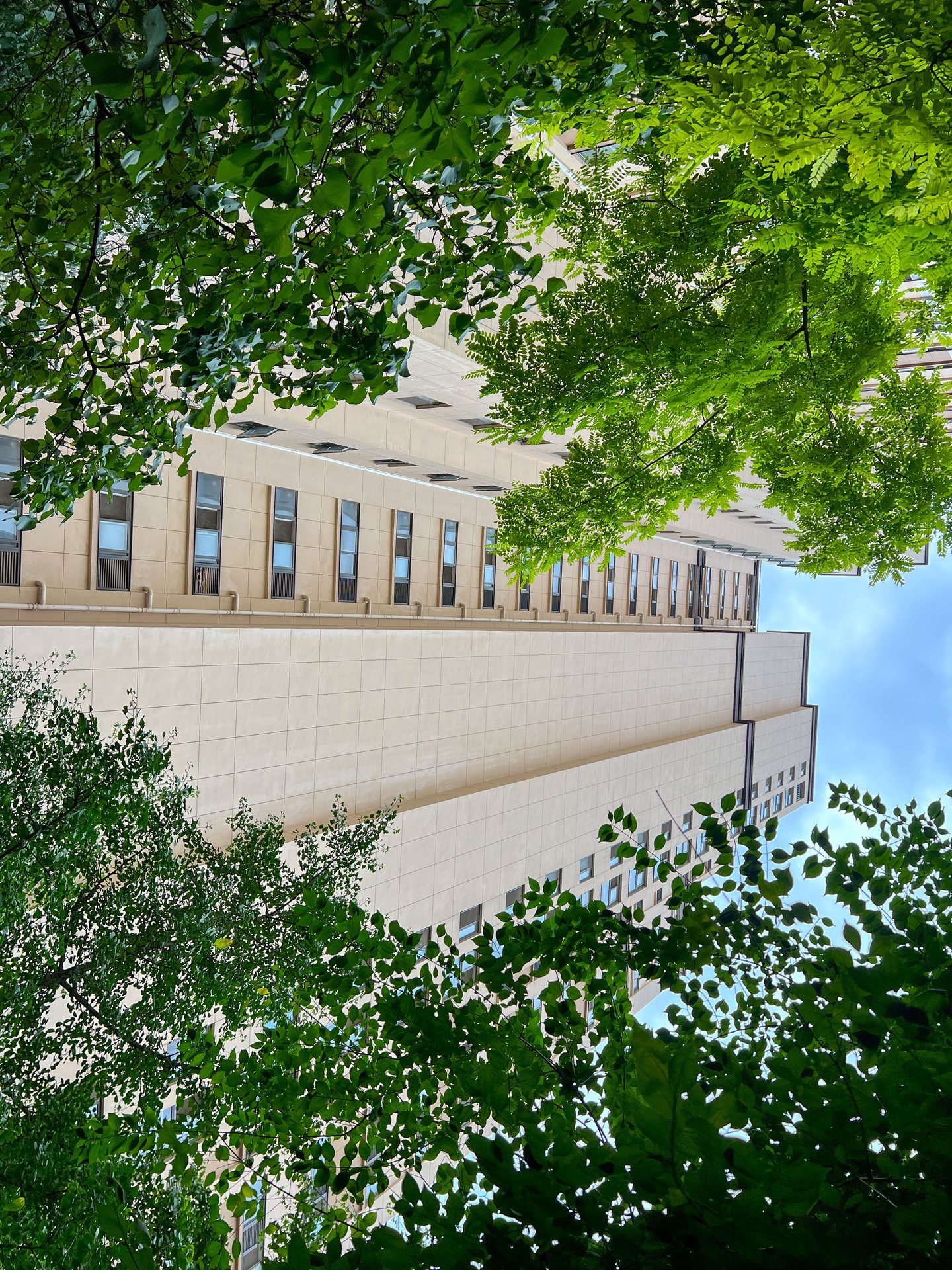 玉璞家园 environment